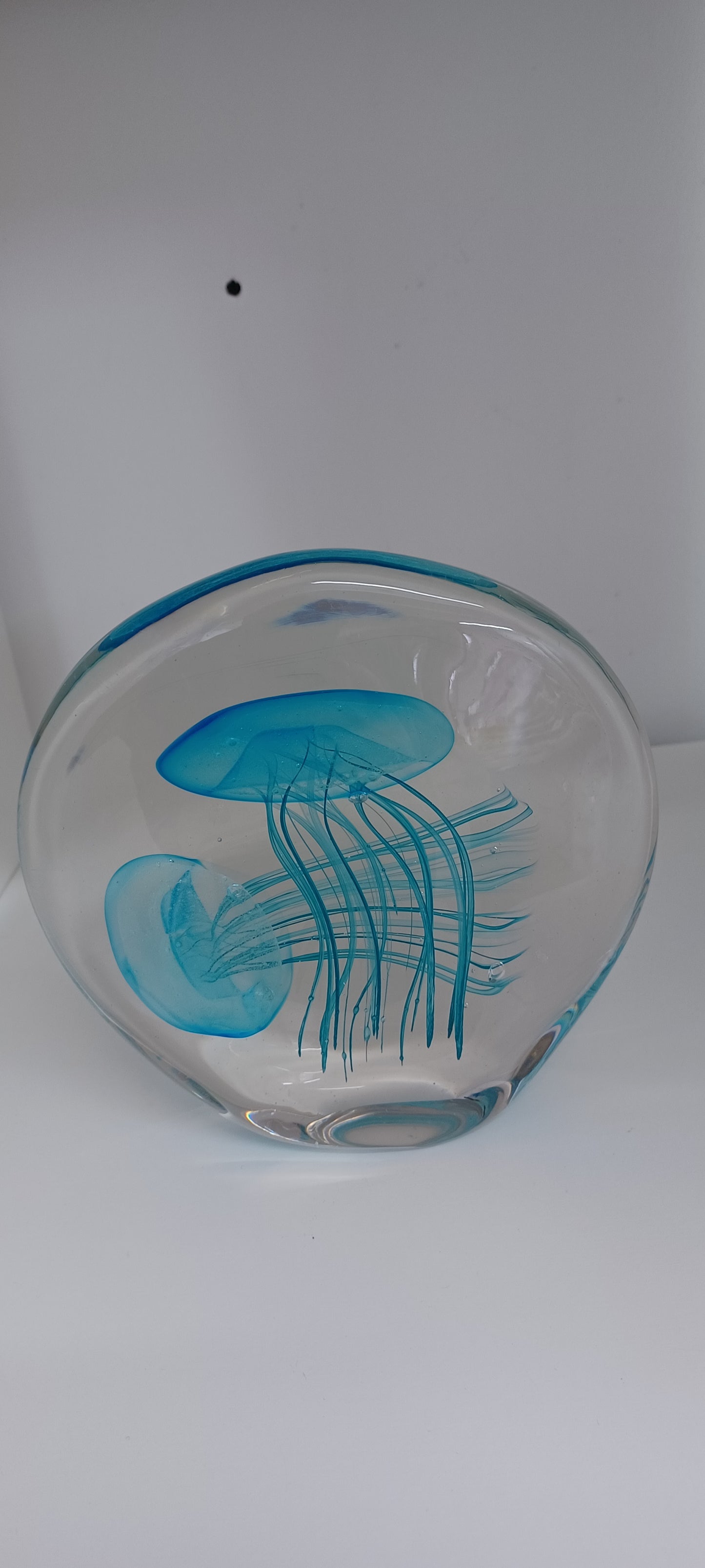 Jellyfish Paperweight