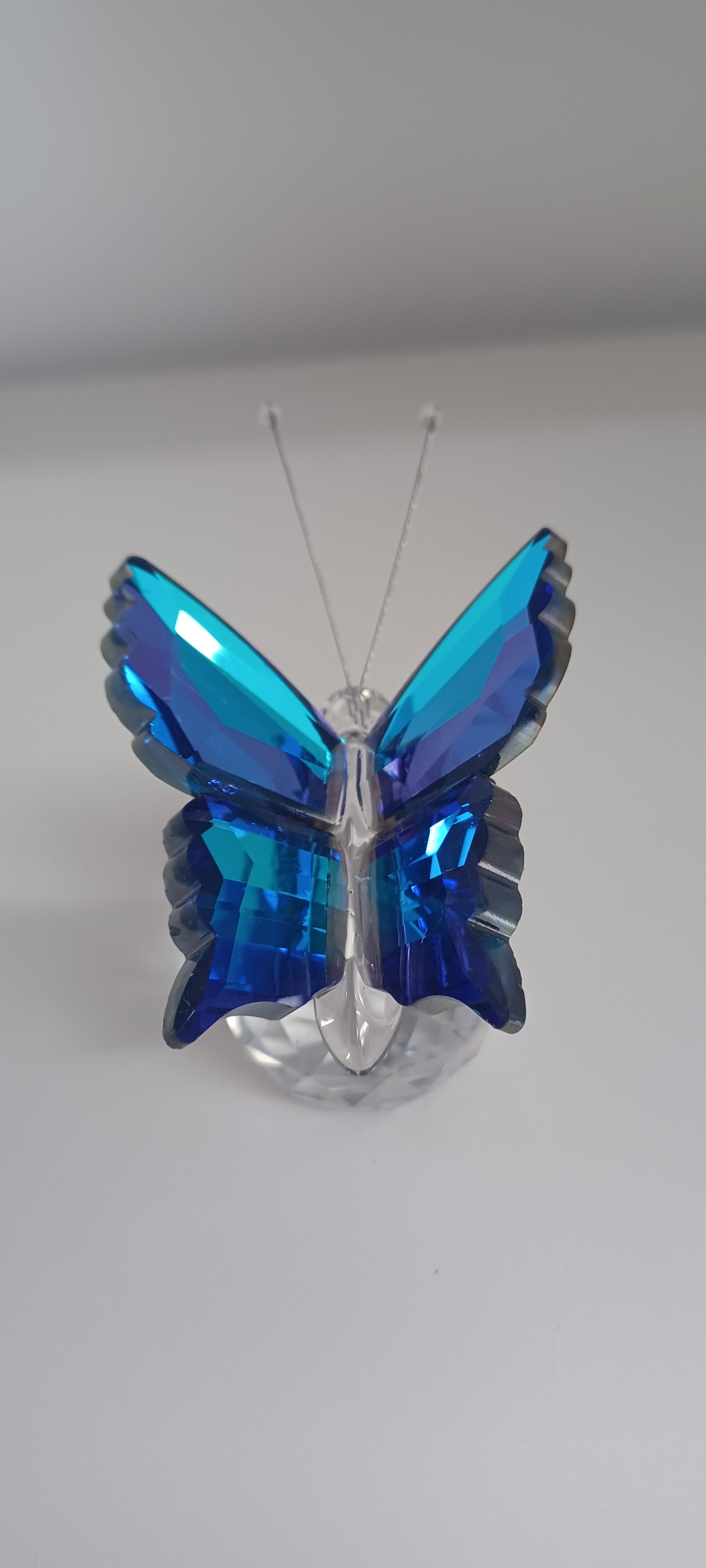 Glass Butterfly