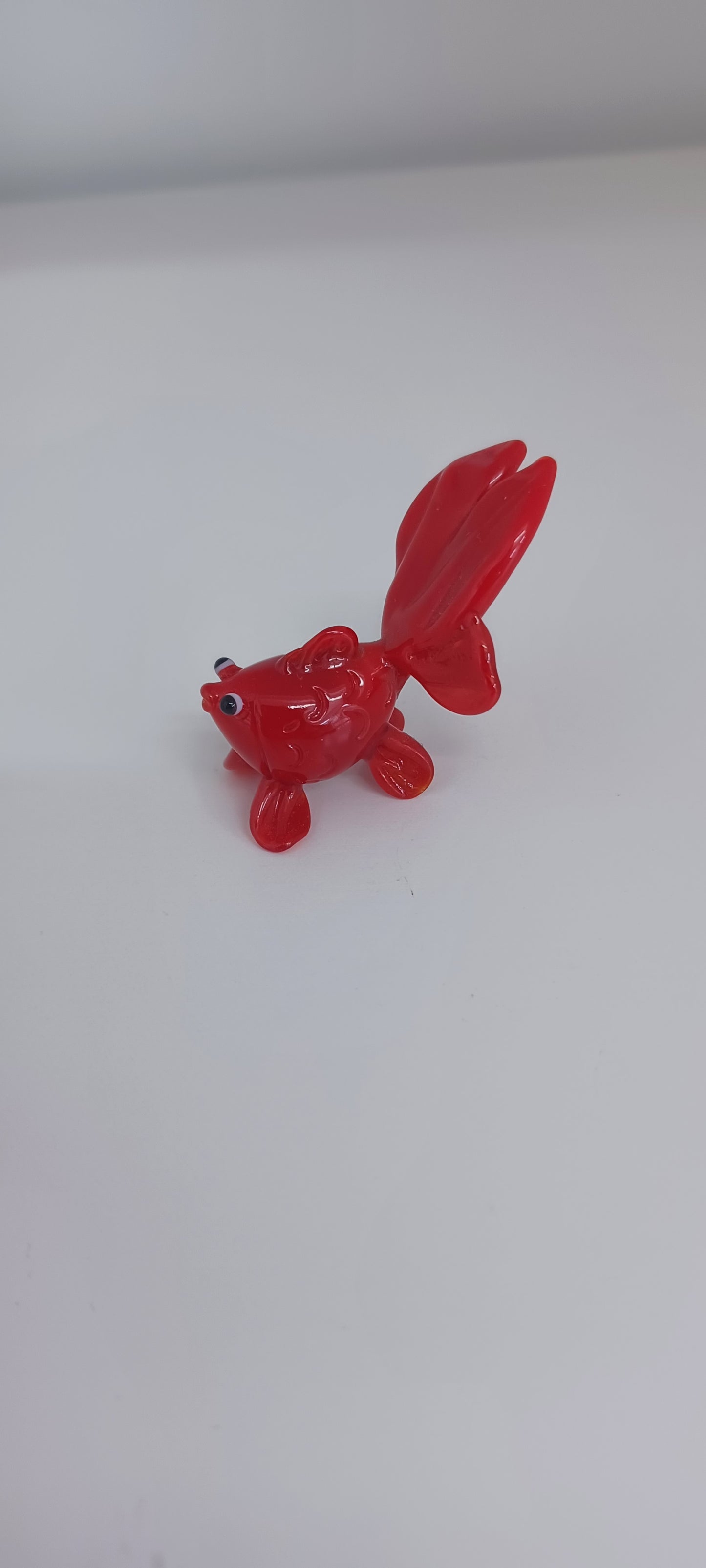 Glass Fish