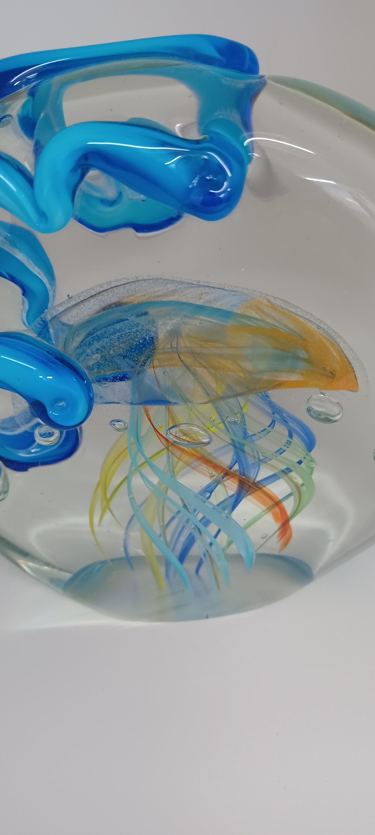 Glass Octopus