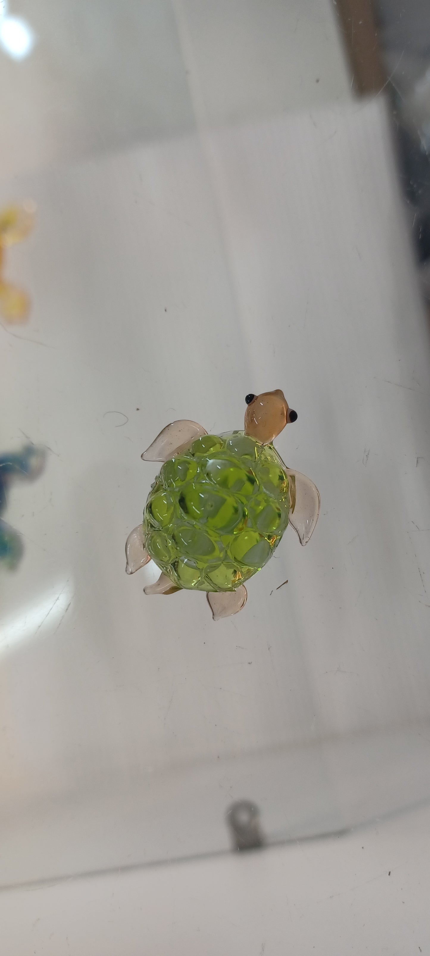 Glass Turtle