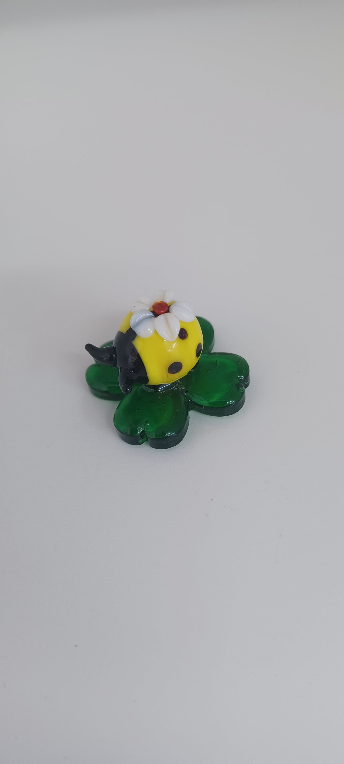 Glass Ladybird
