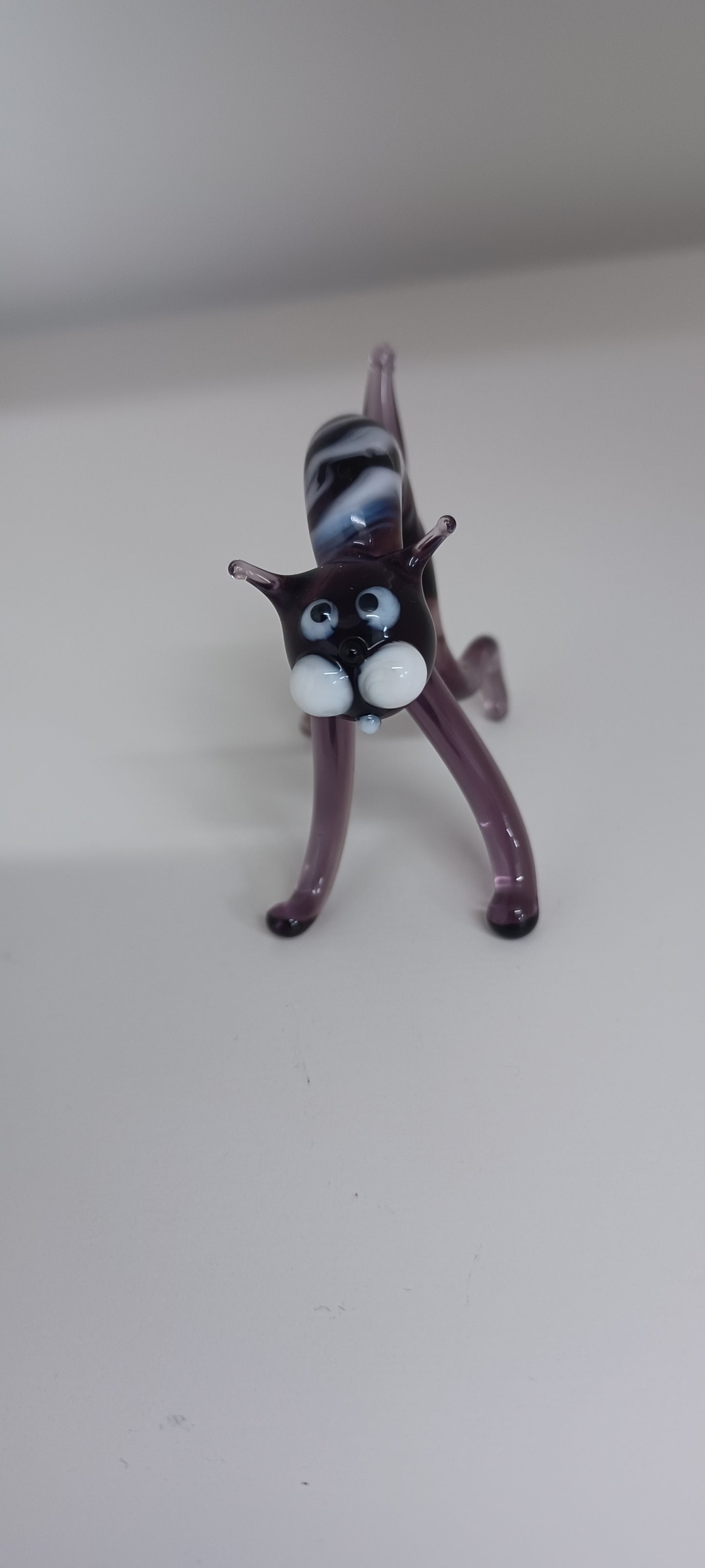 Glass Cat