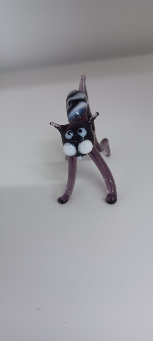 Glass Cat