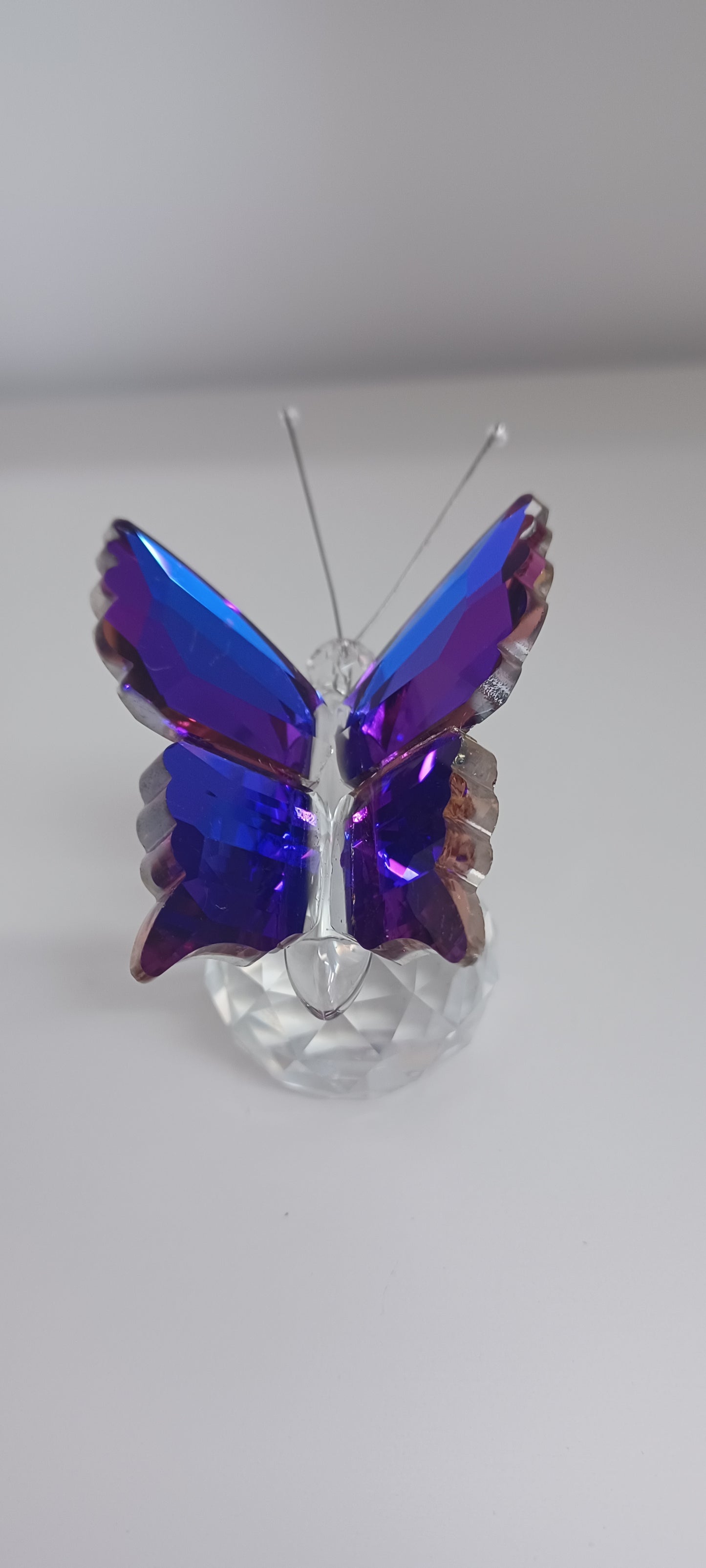 Glass Butterfly