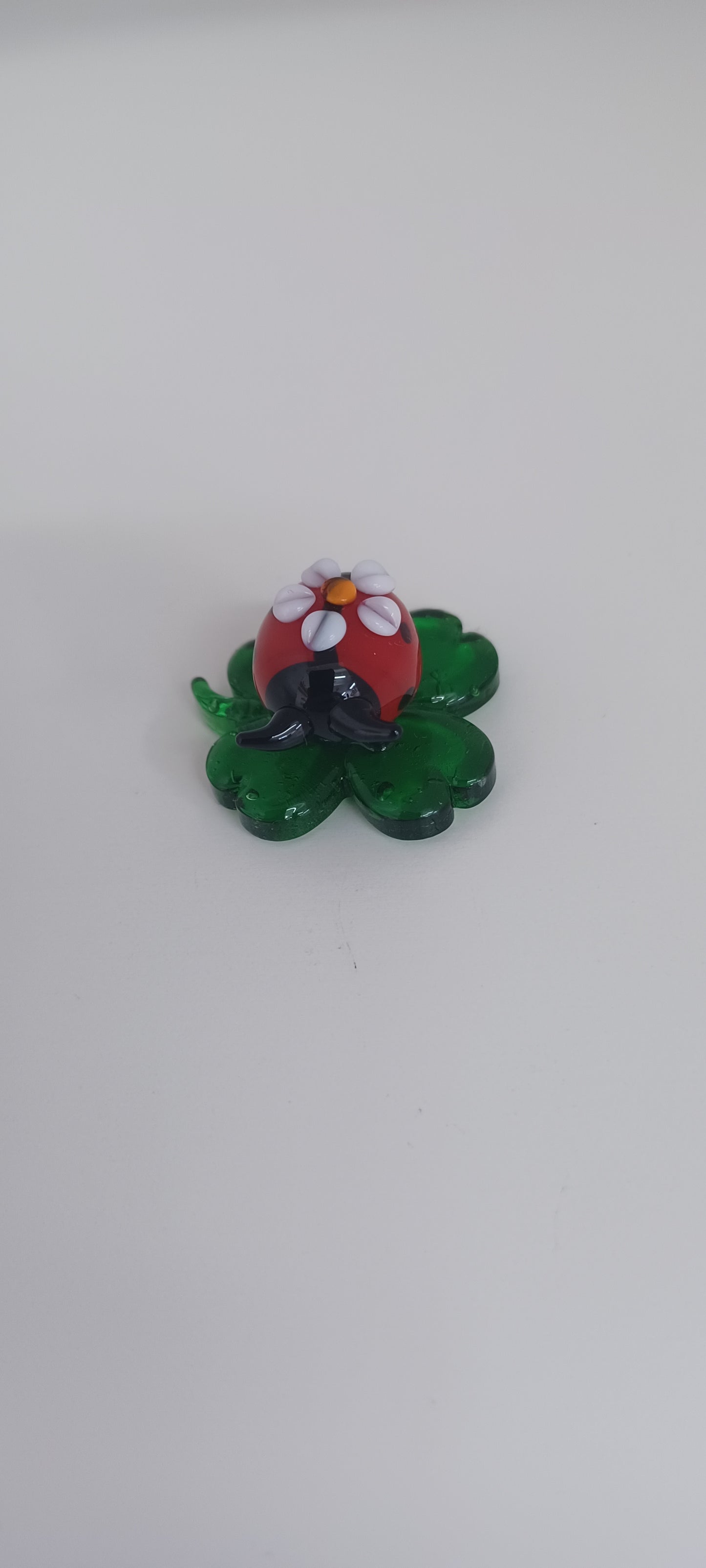 Glass Ladybird