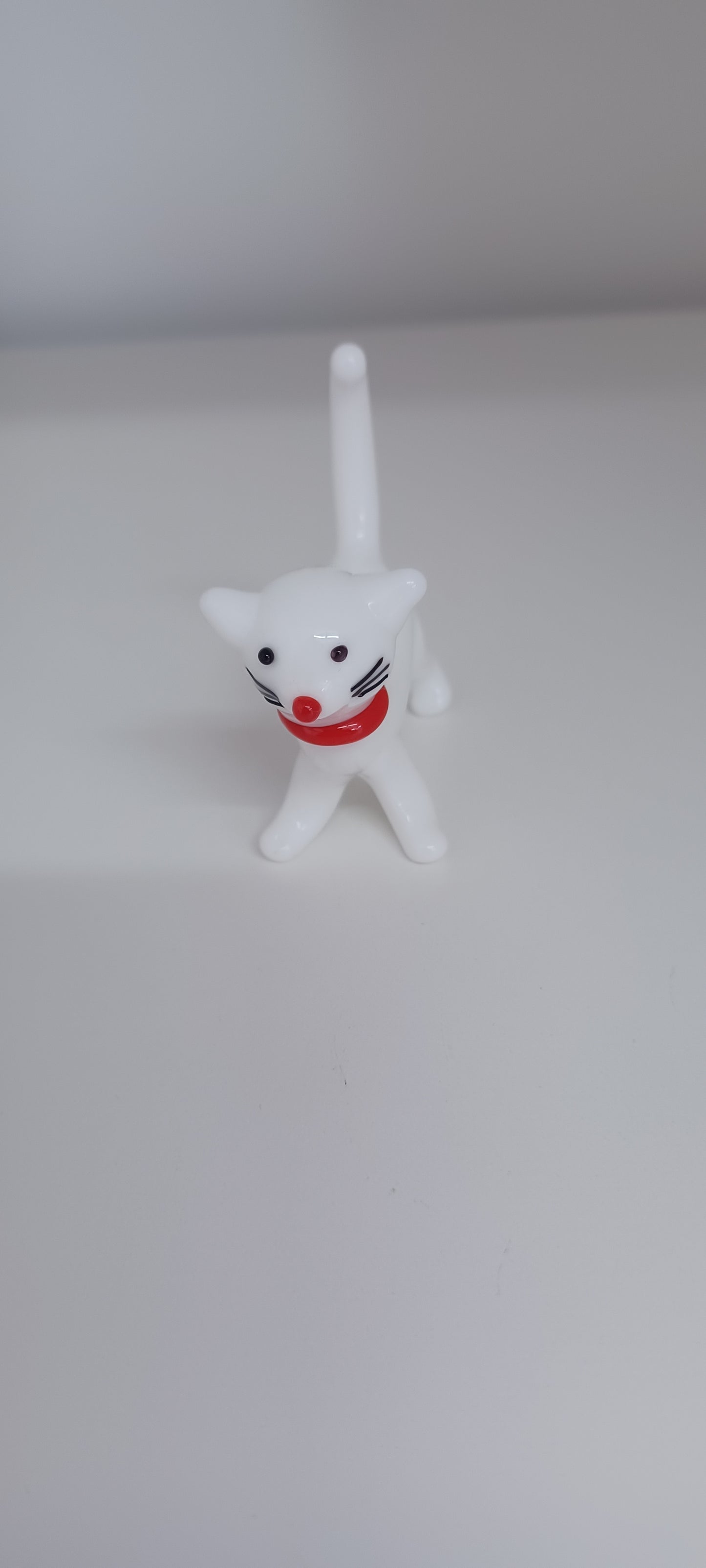 Glass Cat