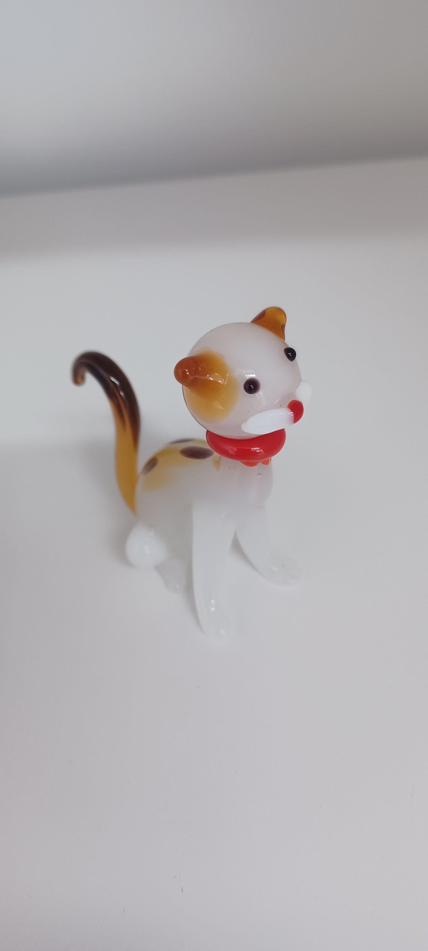 Glass Cat