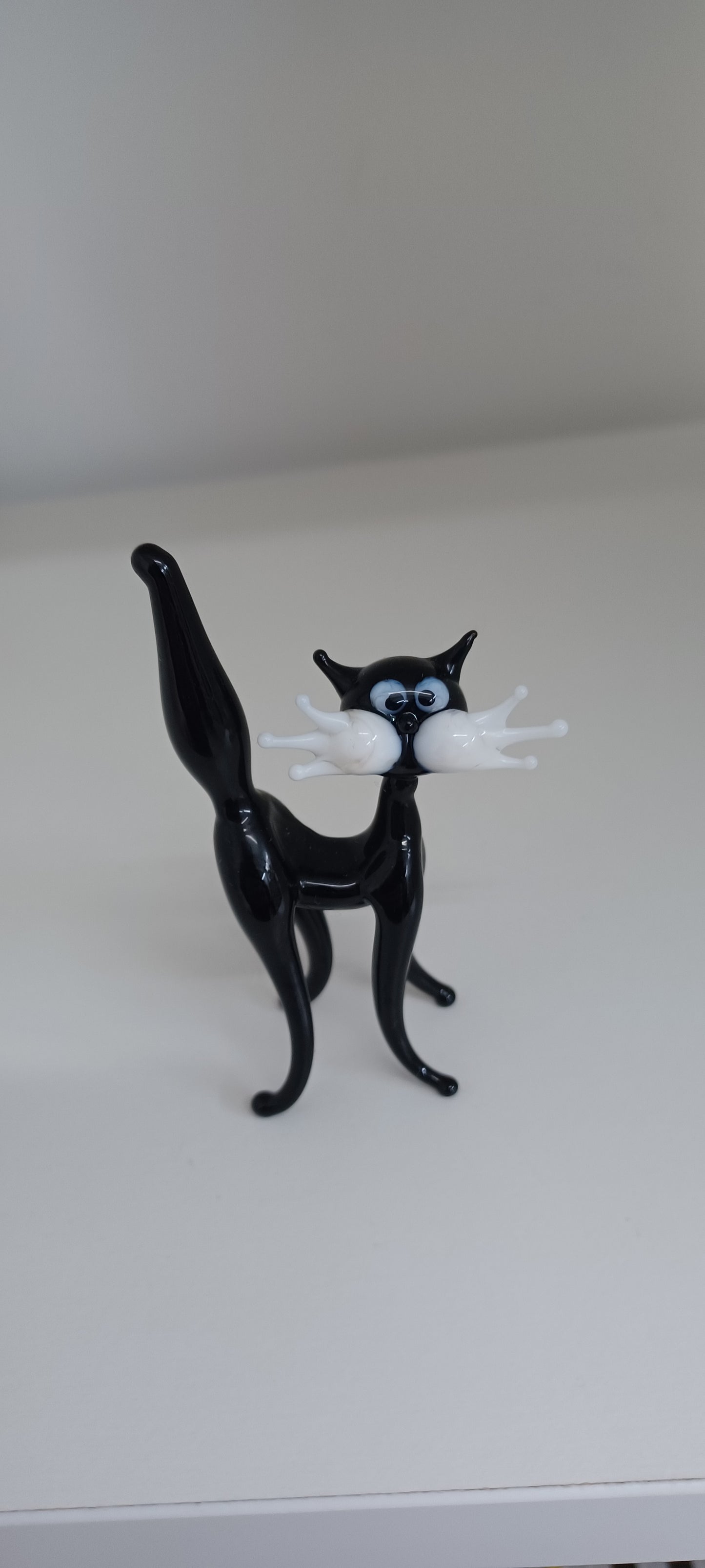 Glass Cat