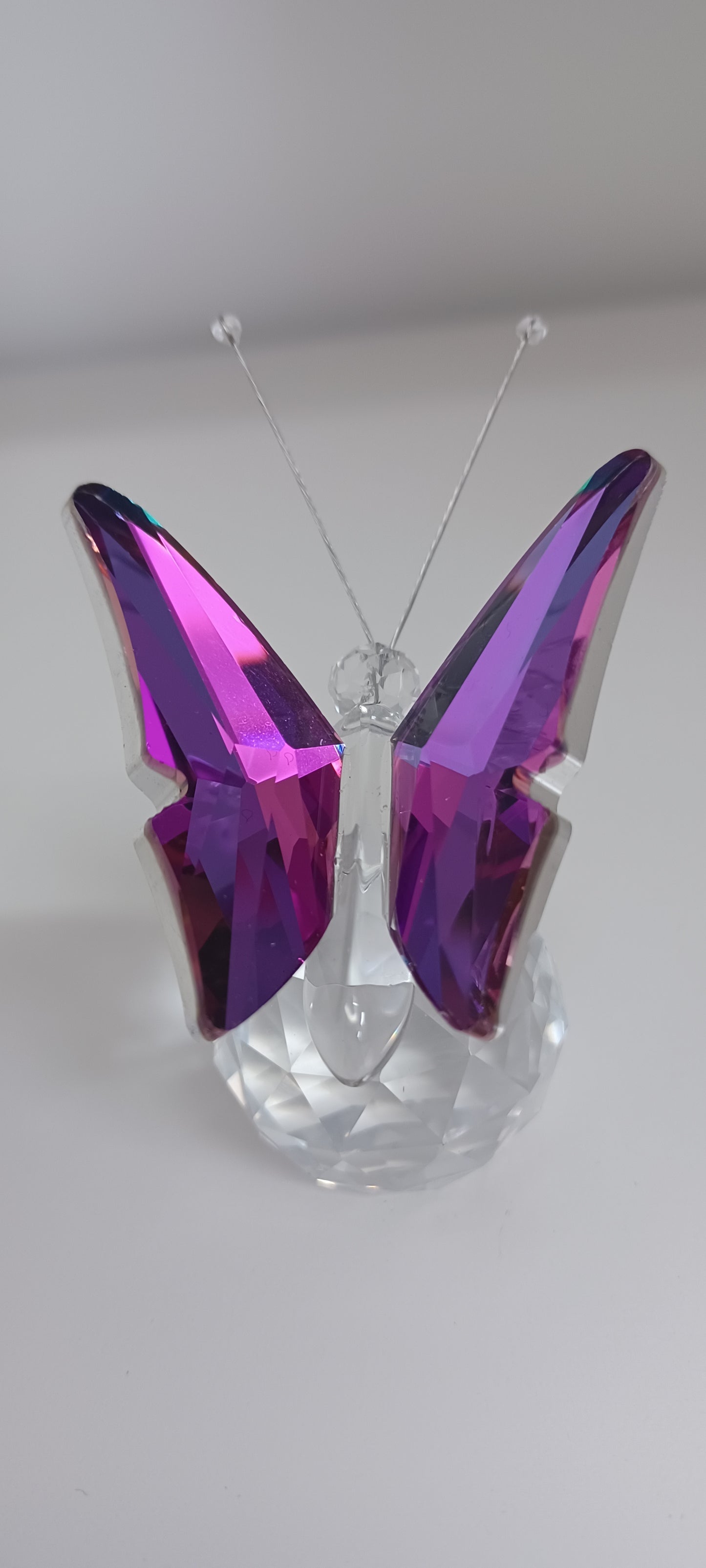 Glass Butterfly