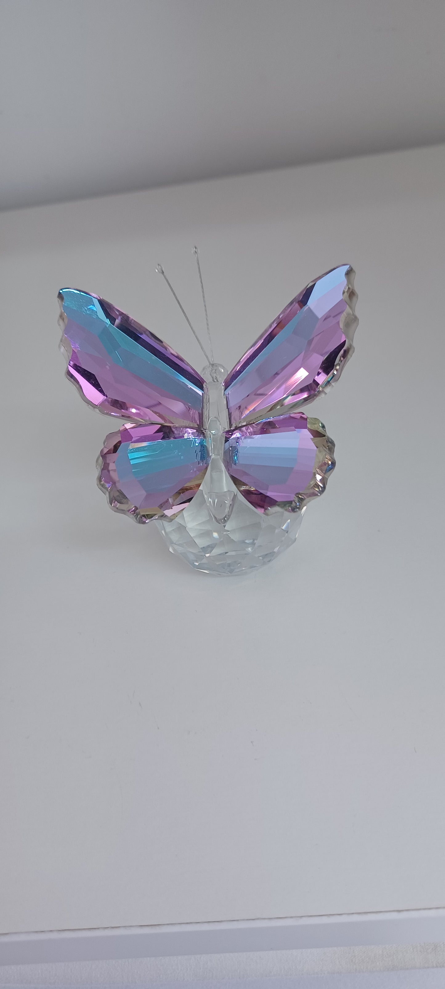 Glass Butterfly