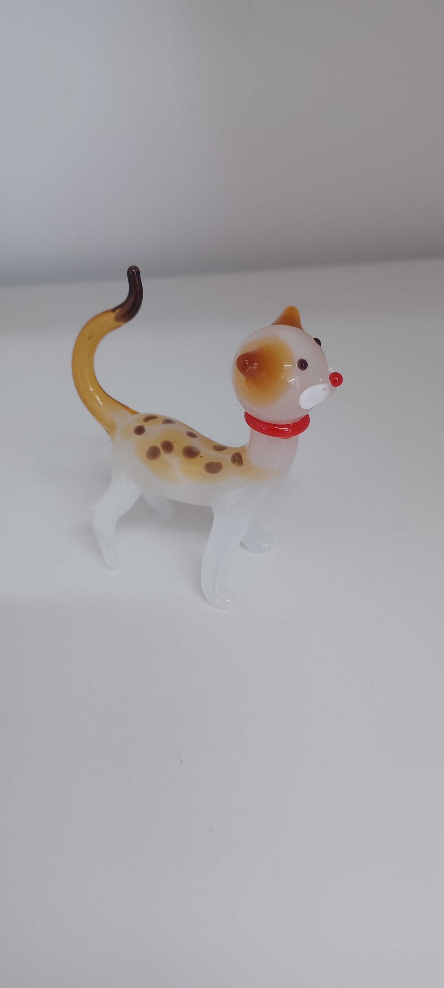 Glass Cat