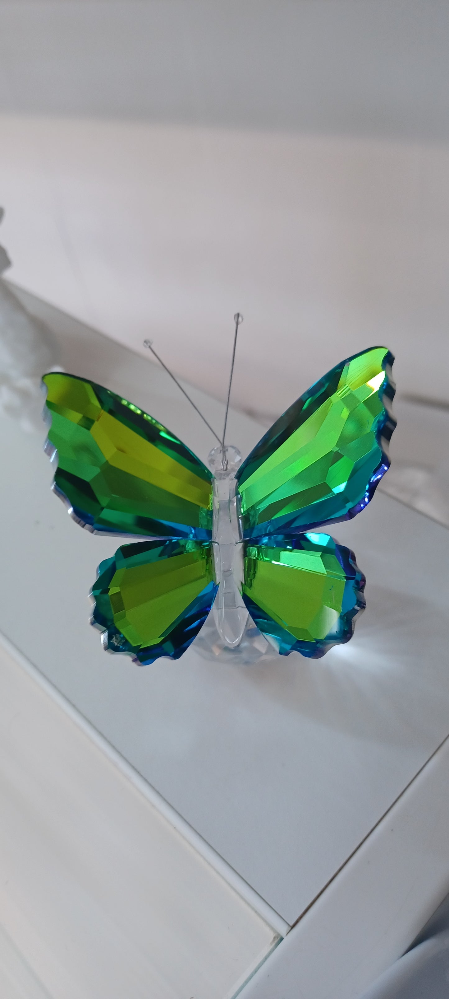 Glass Butterfly