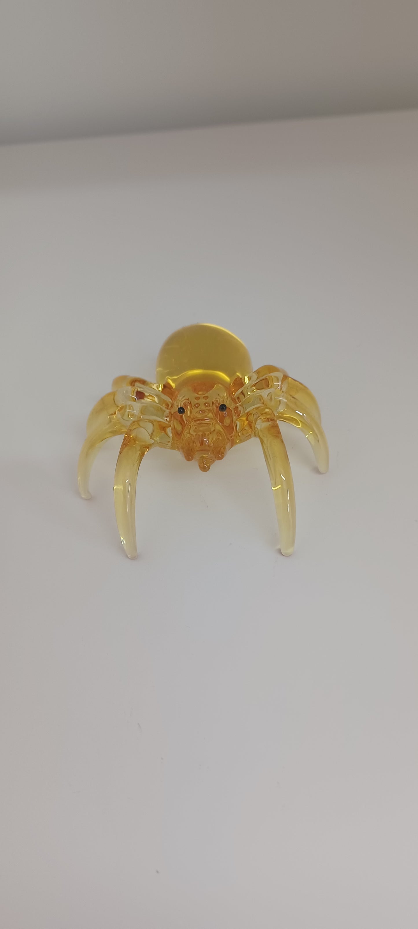 Glass Spider