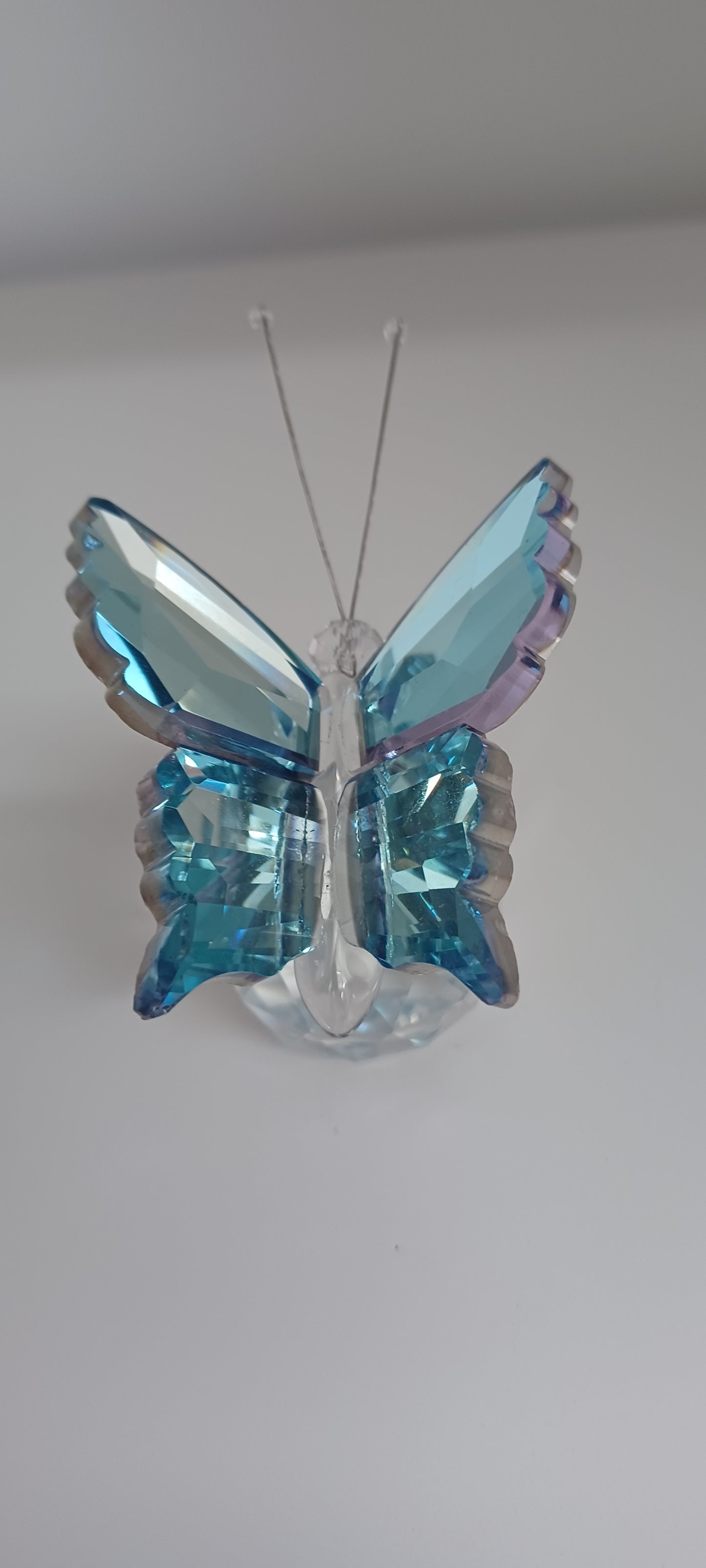 Glass Butterfly