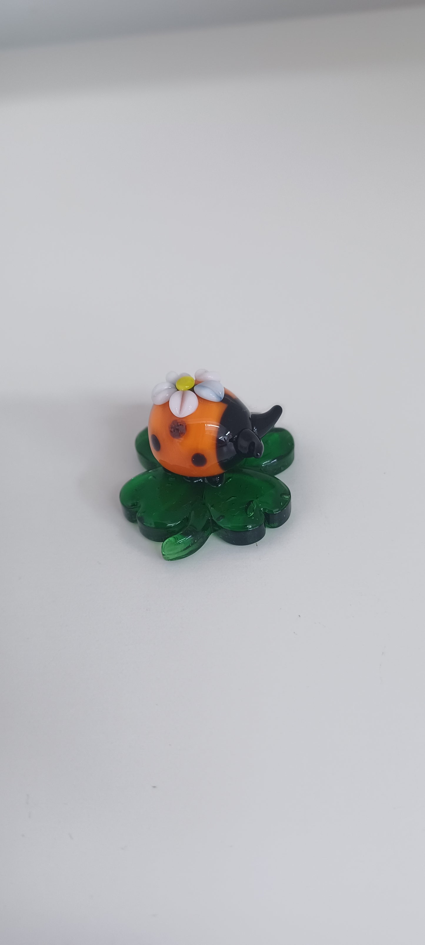 Glass Ladybird