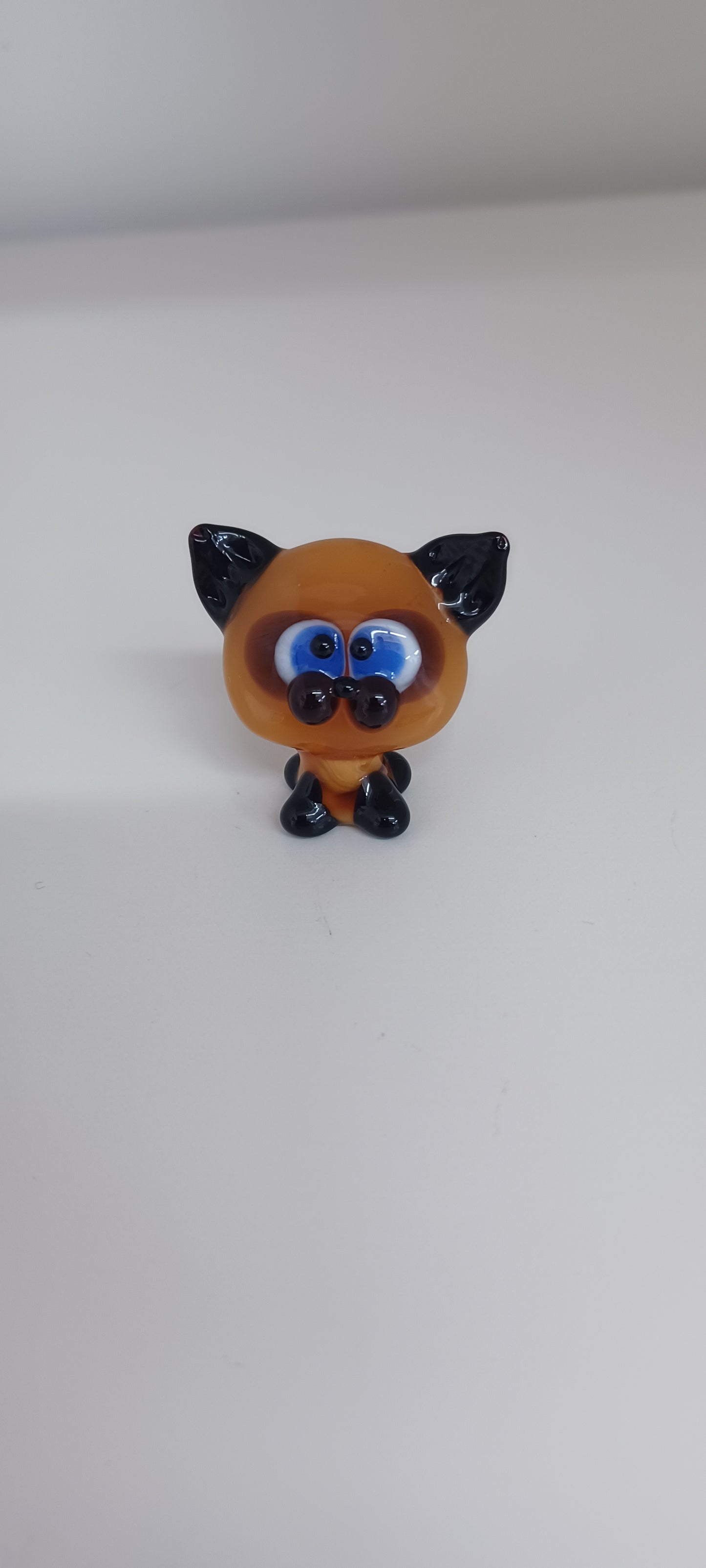 Glass Cat