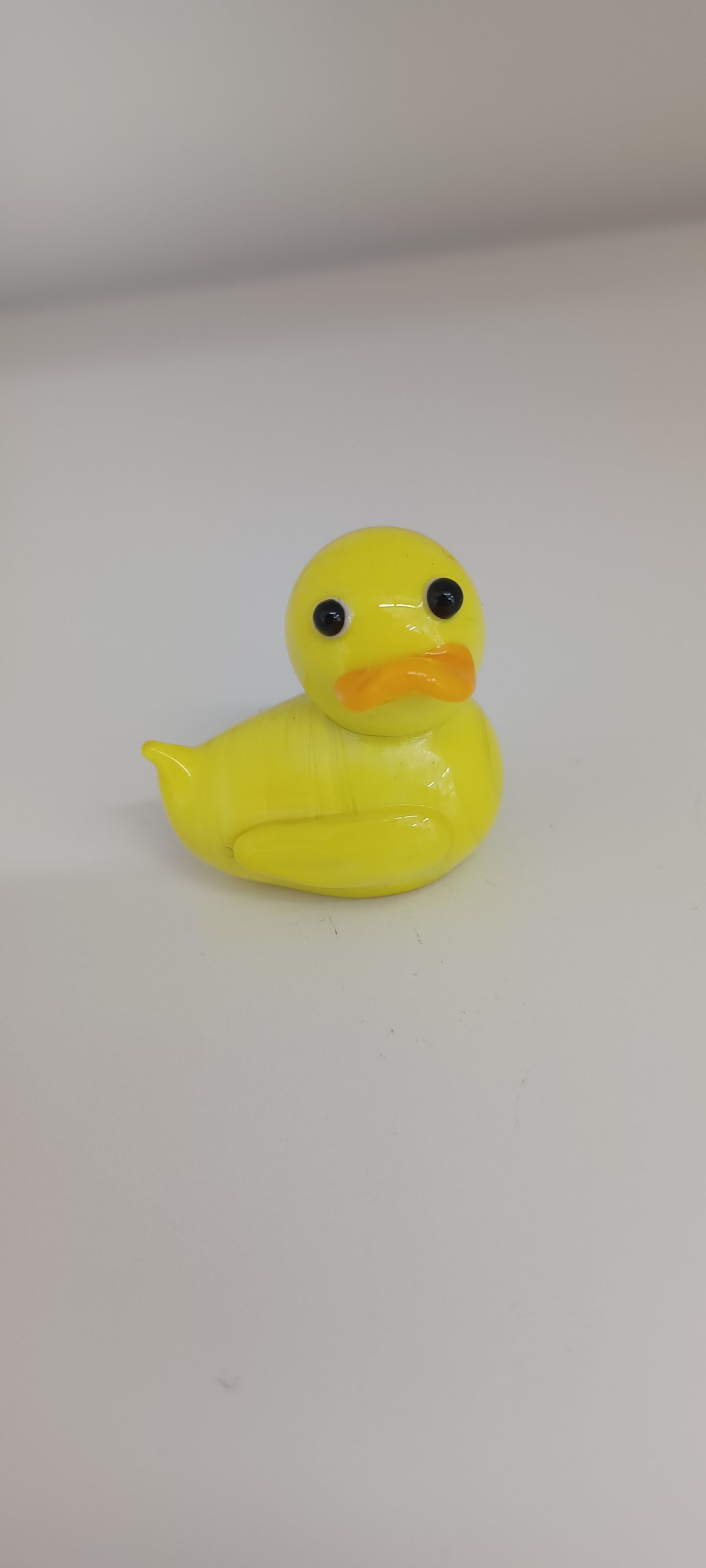 Glass Duck