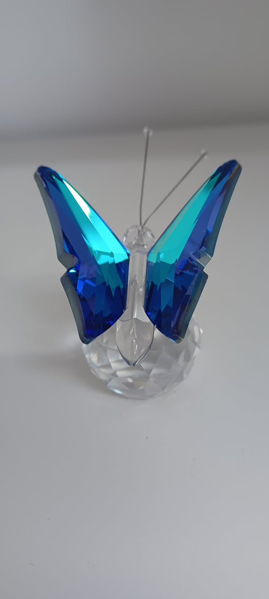 Glass Butterfly