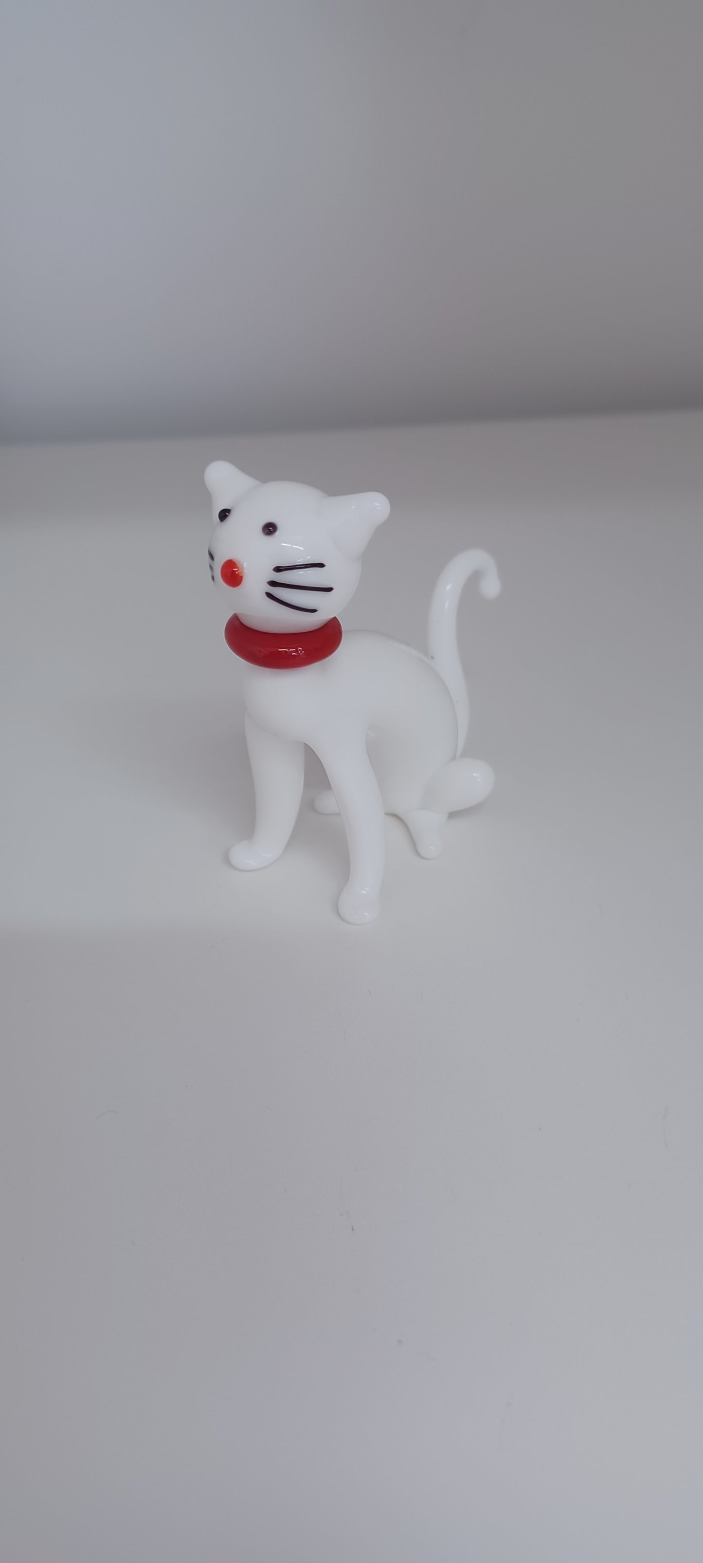 Glass Cat