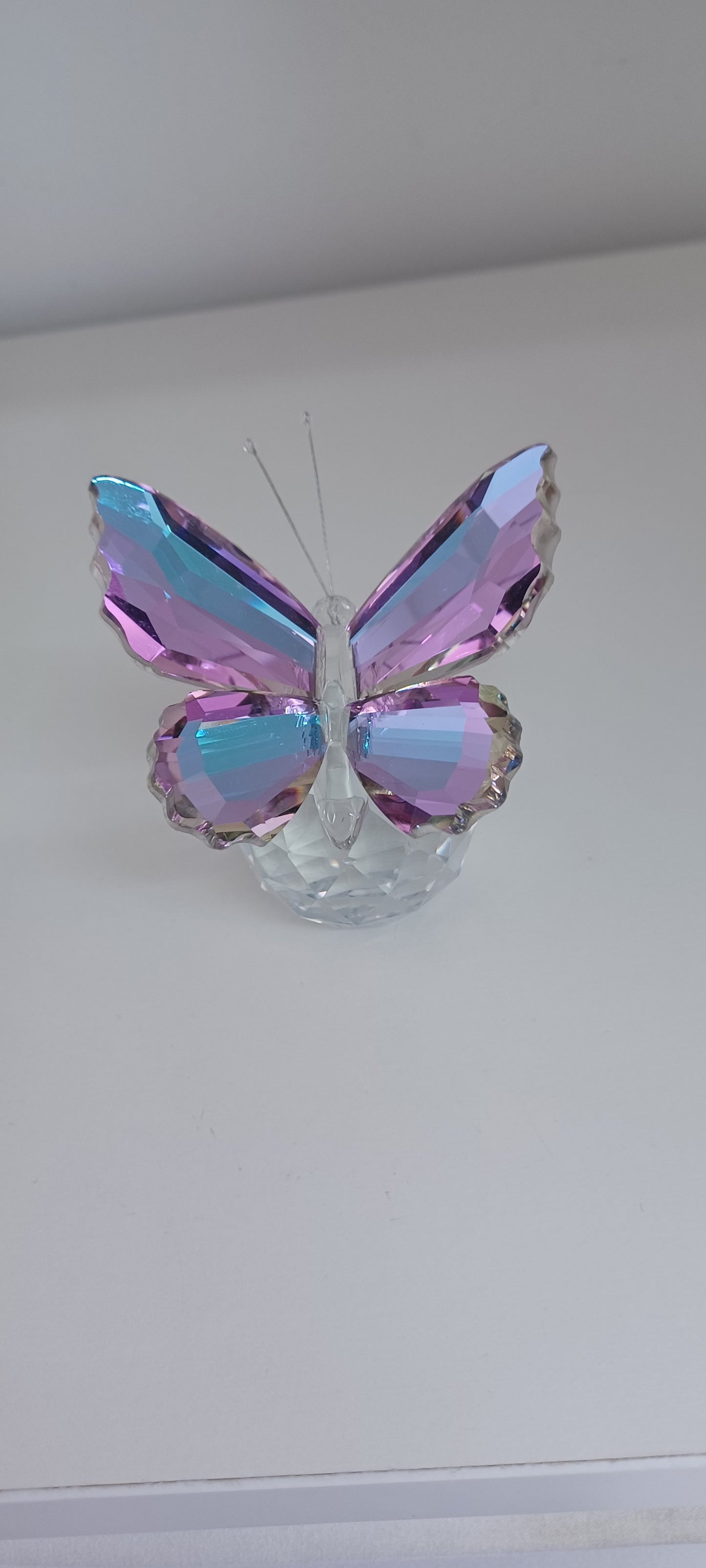 Glass Butterfly