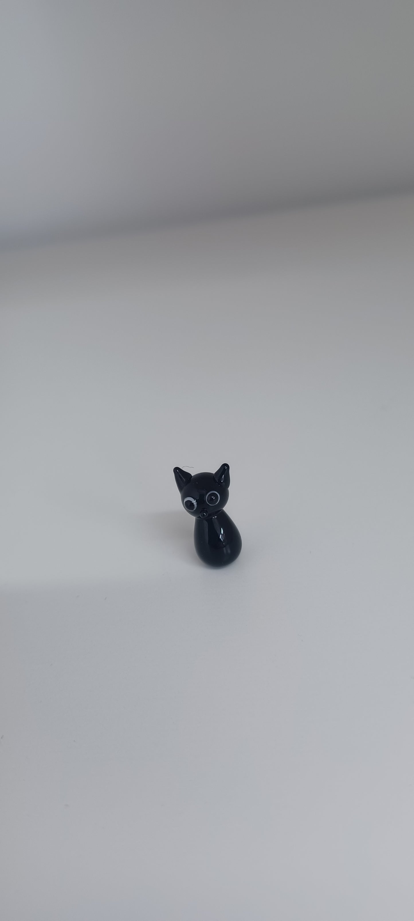 Glass Cat