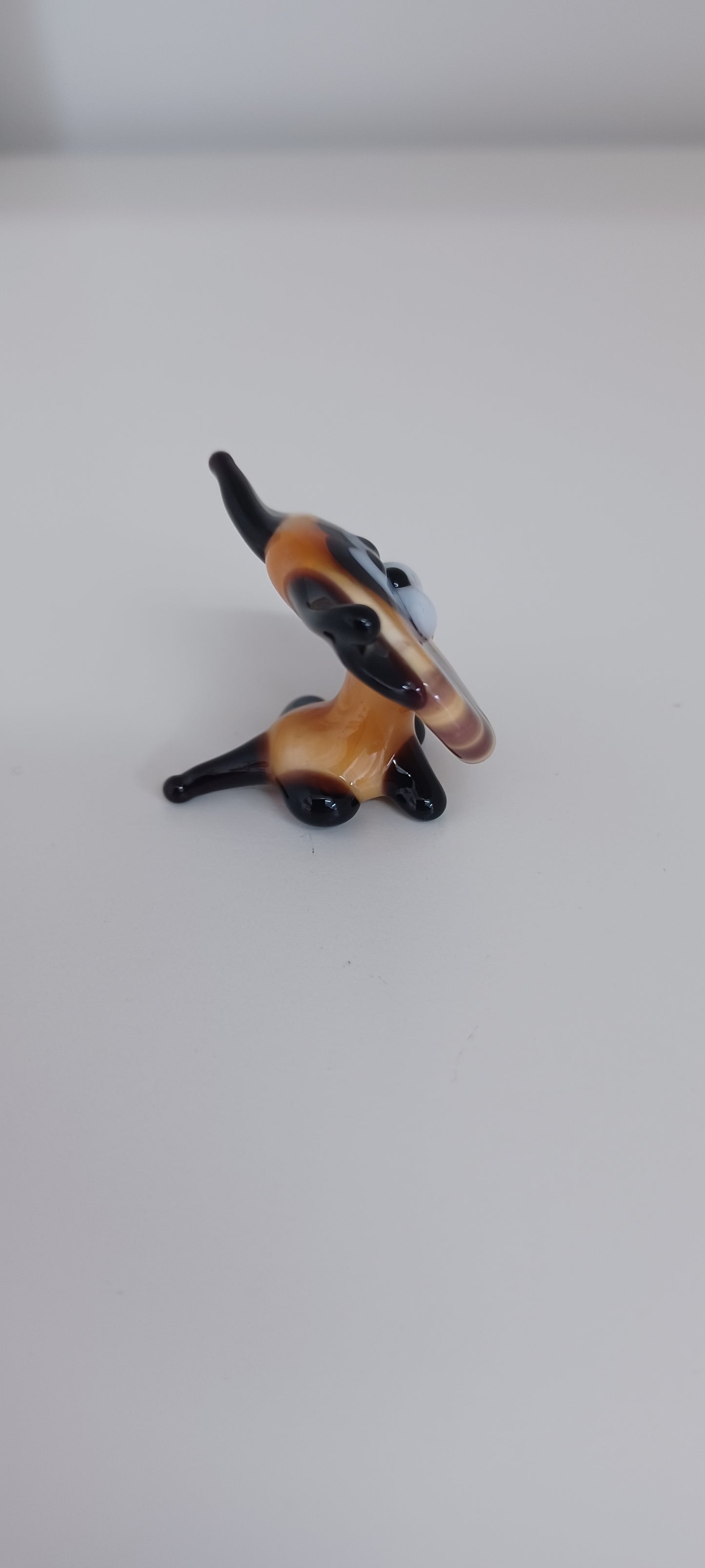 Glass Cat