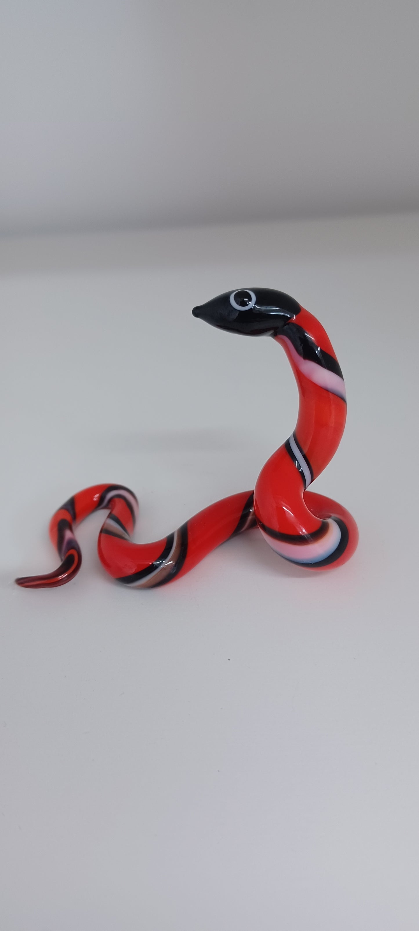 Glass Snake