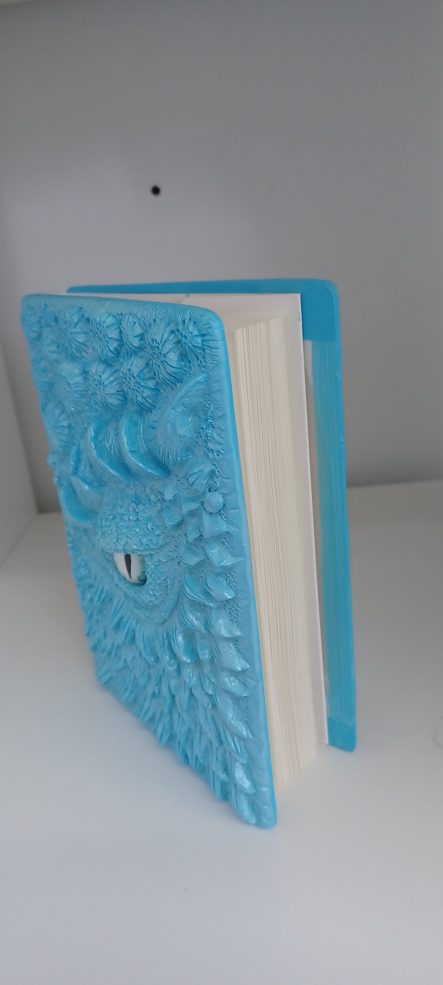 Dragon Eye Note Book