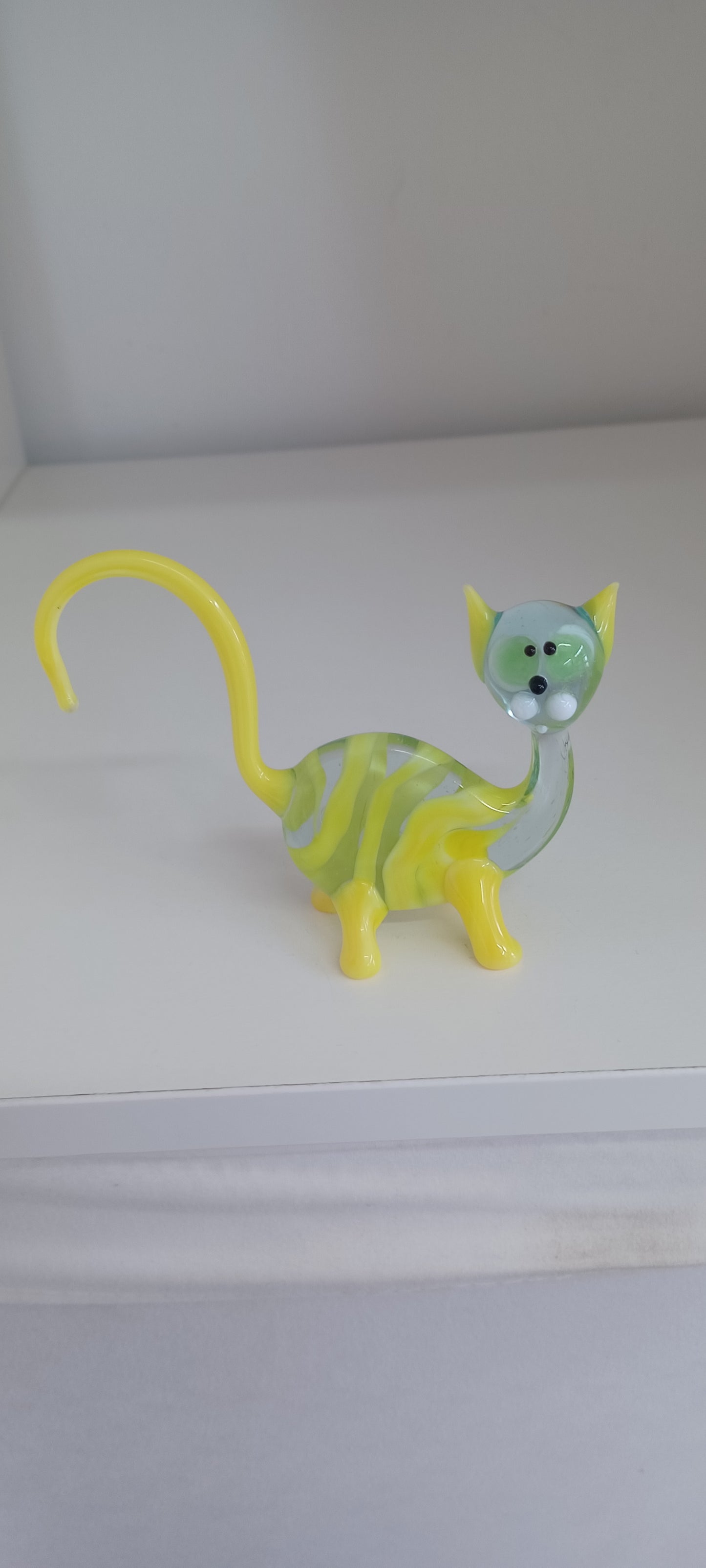 Glass Cat