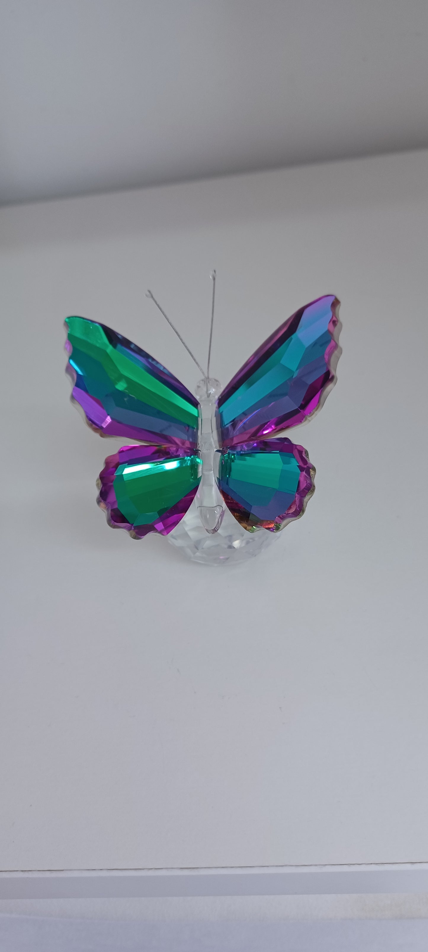 Glass Butterfly