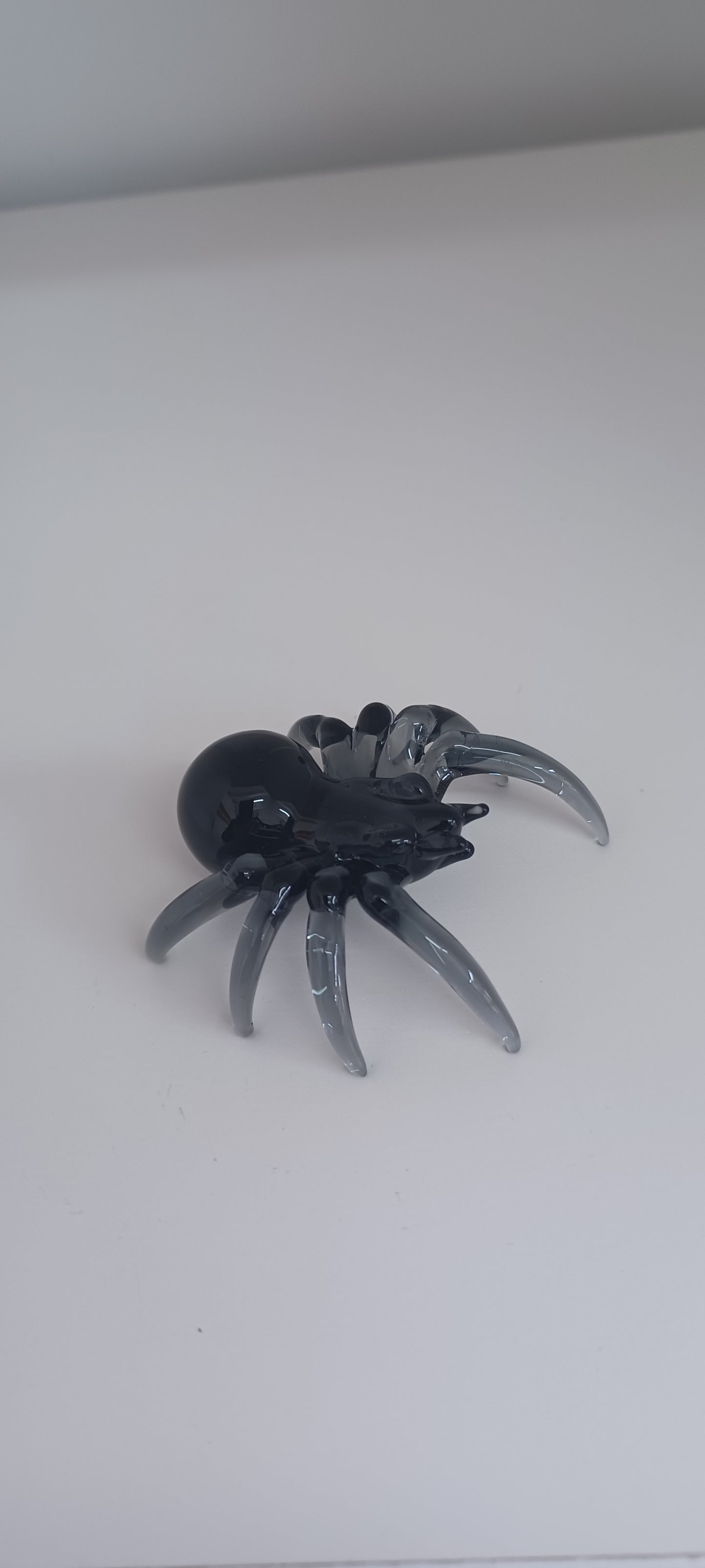 Glass Spider