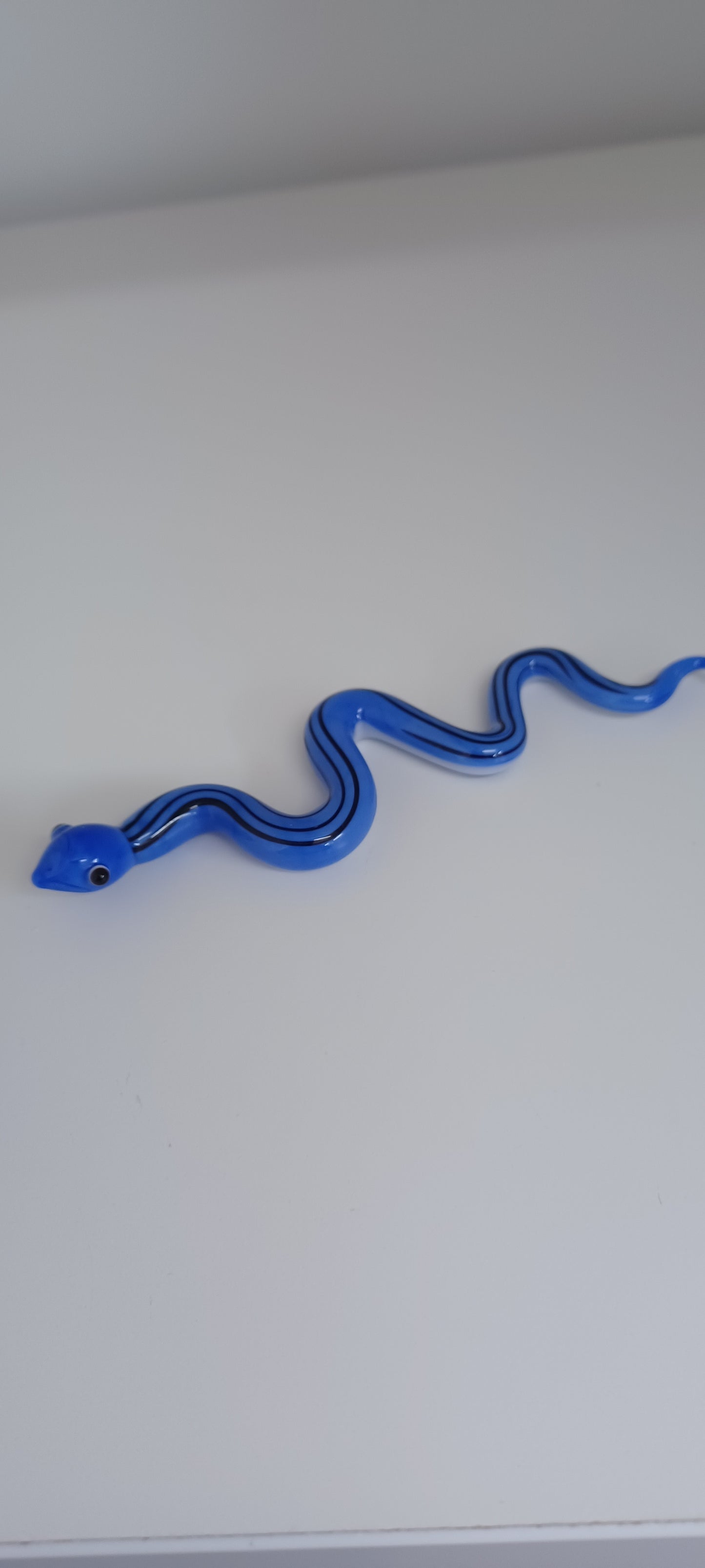 Glass Snake