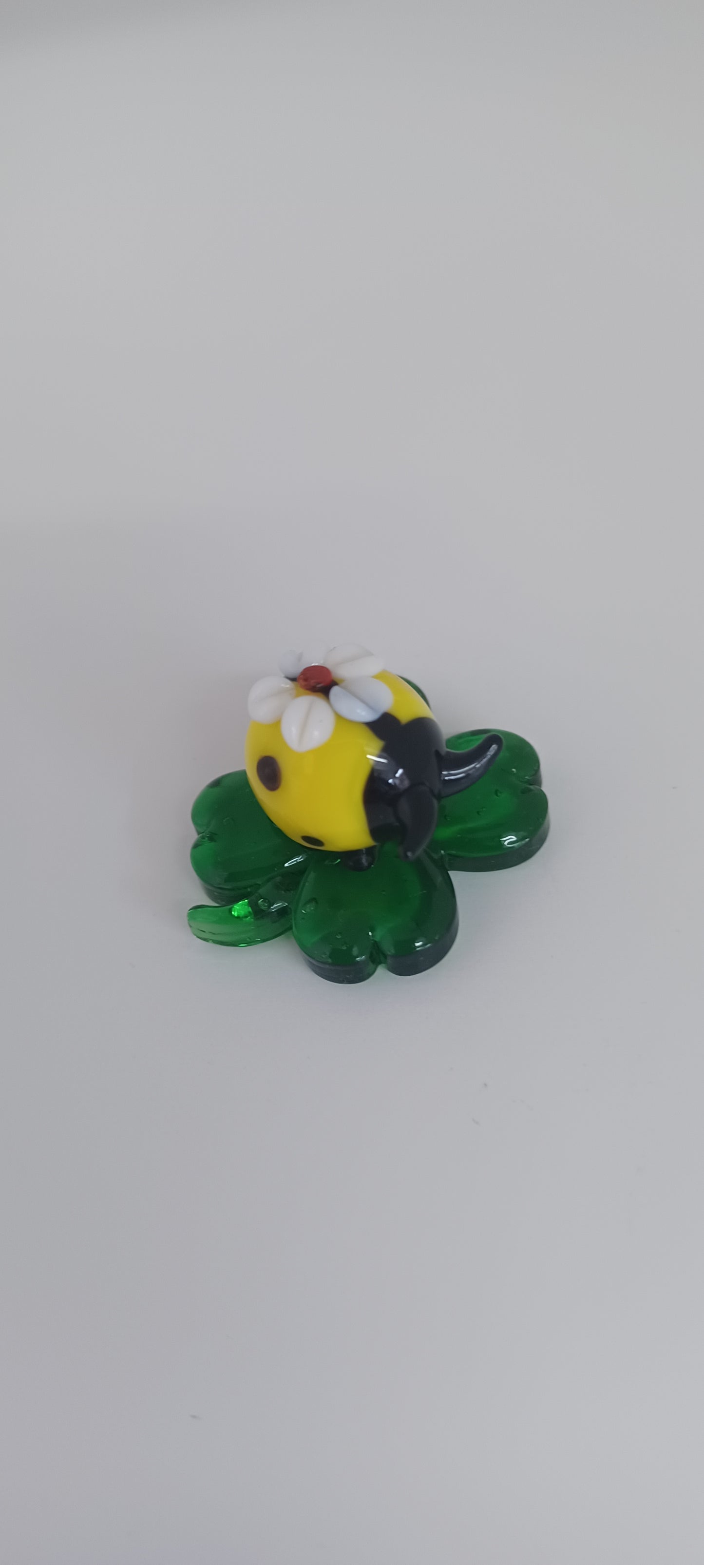 Glass Ladybird