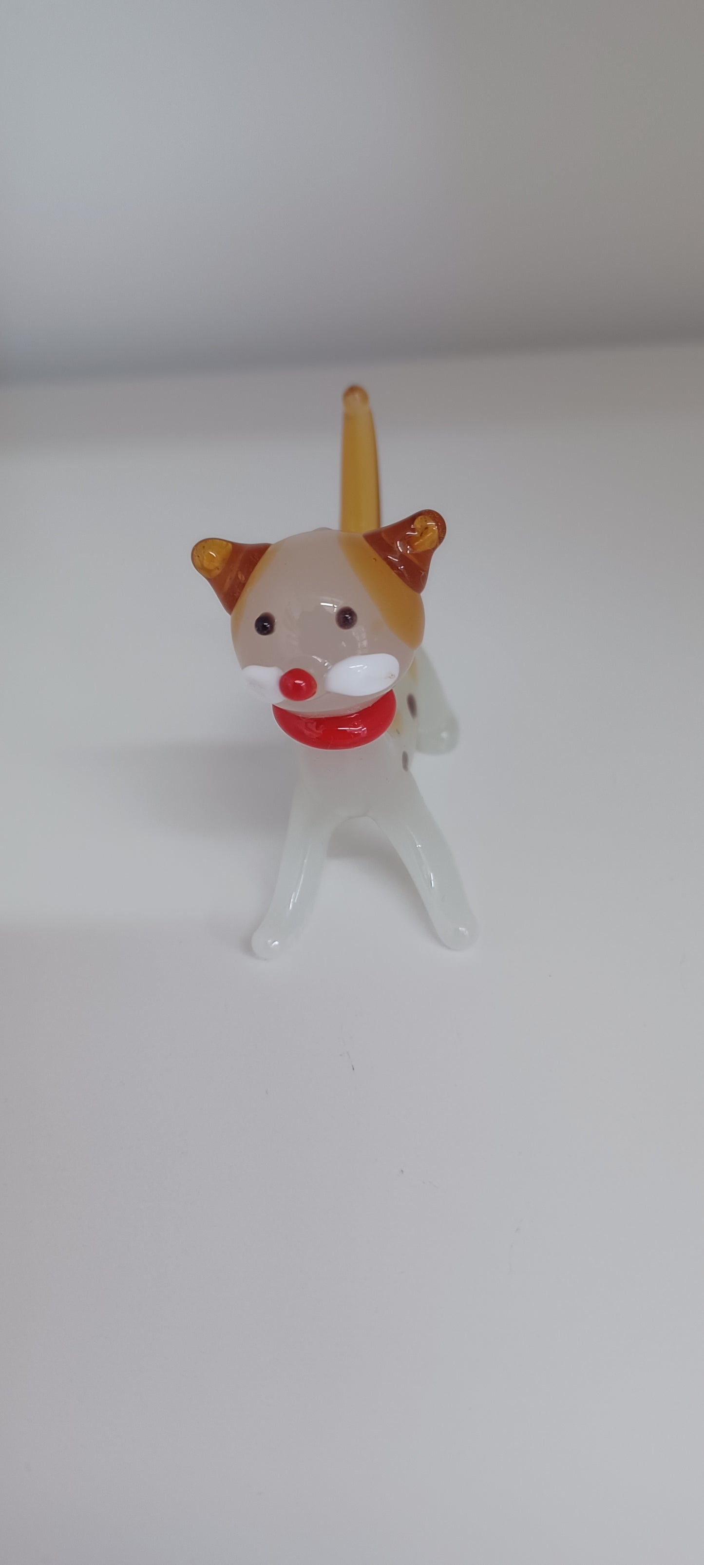 Glass Cat