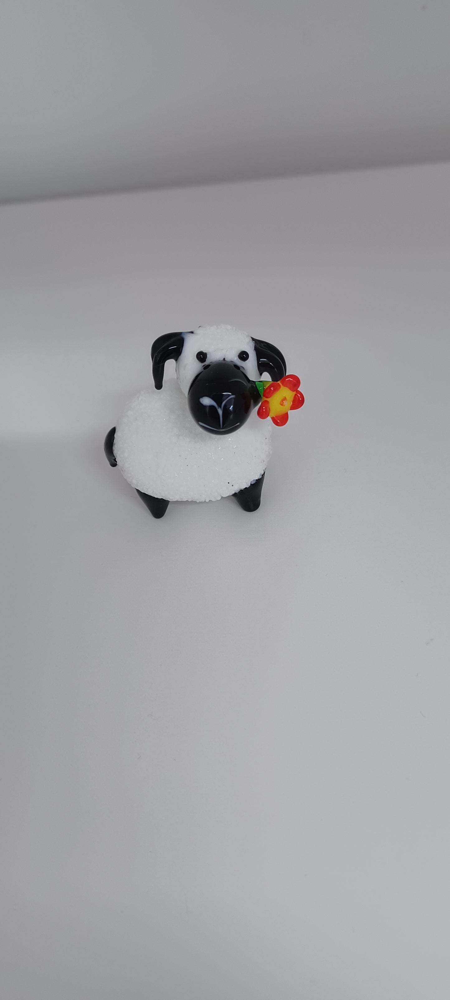 Glass Sheep