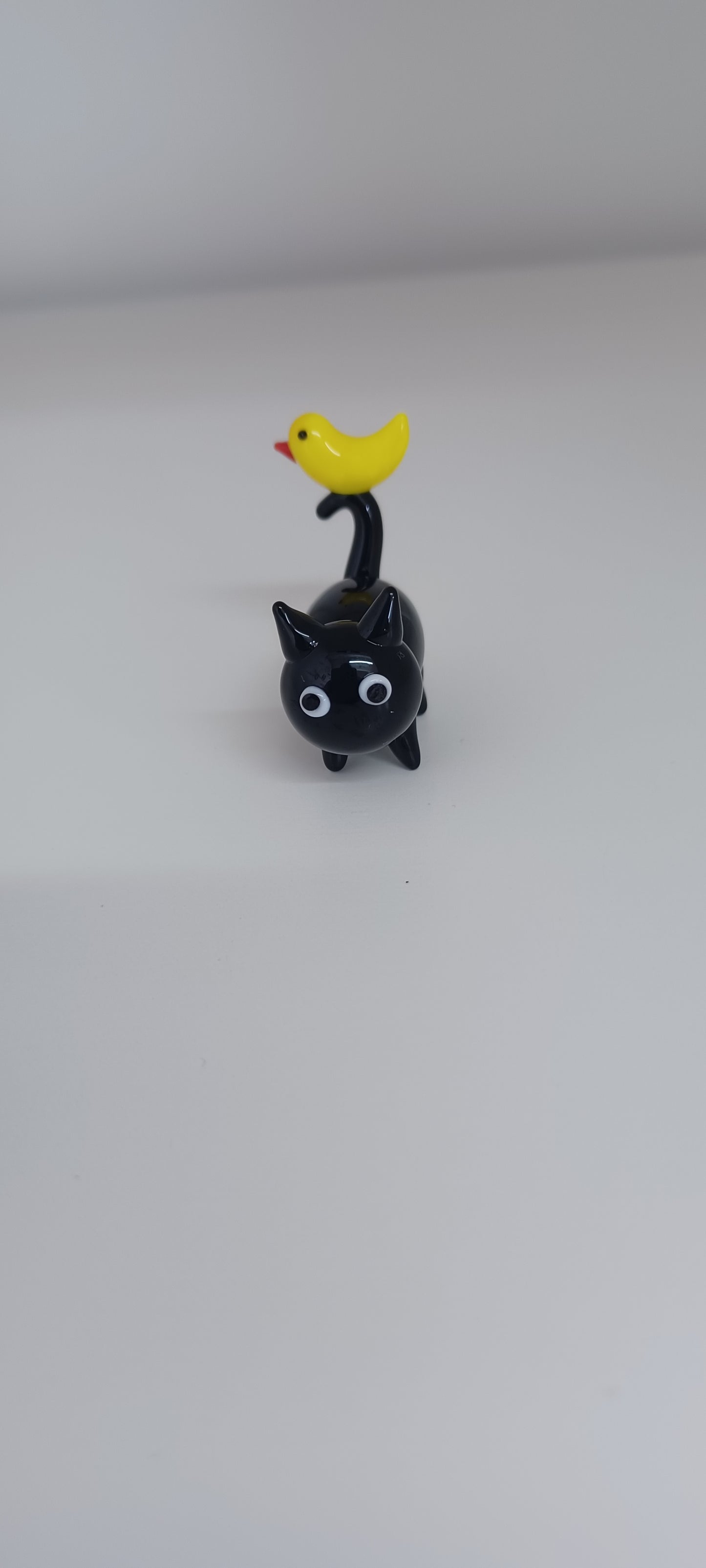 Glass Cat