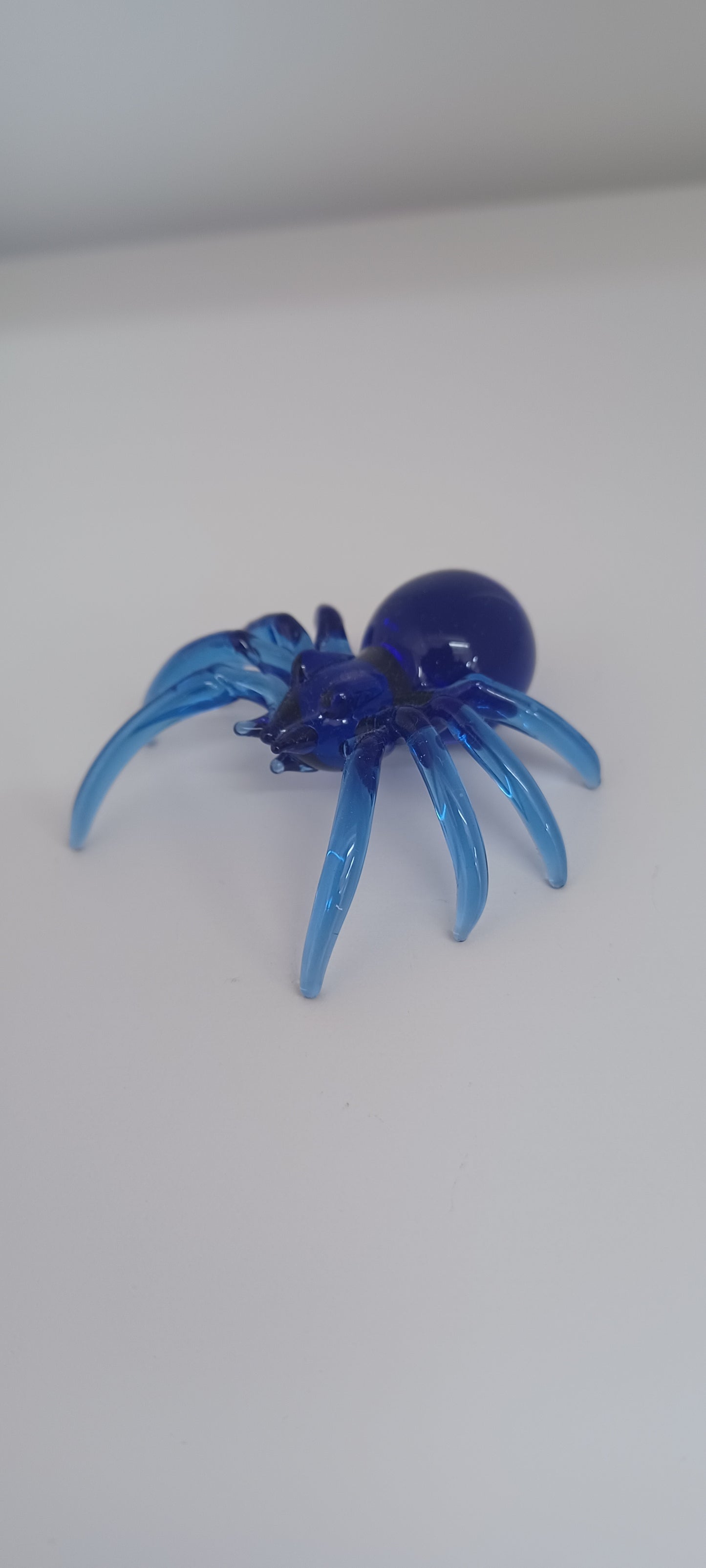 Glass Spider