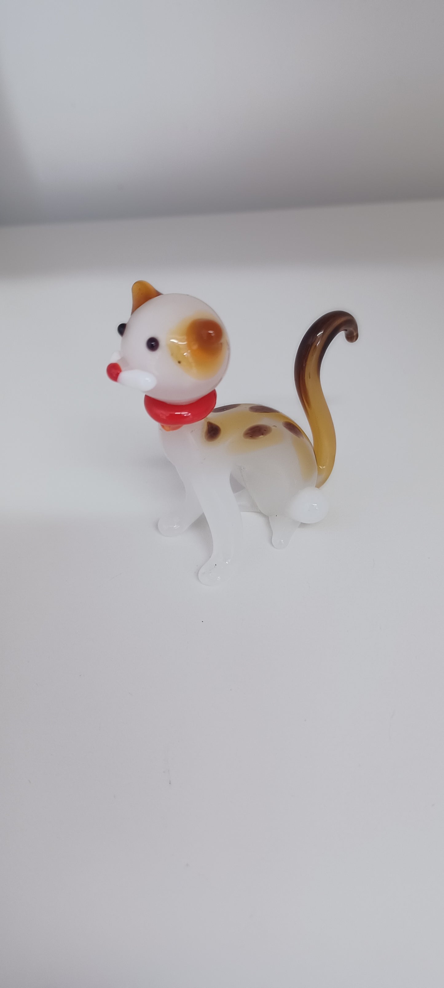 Glass Cat