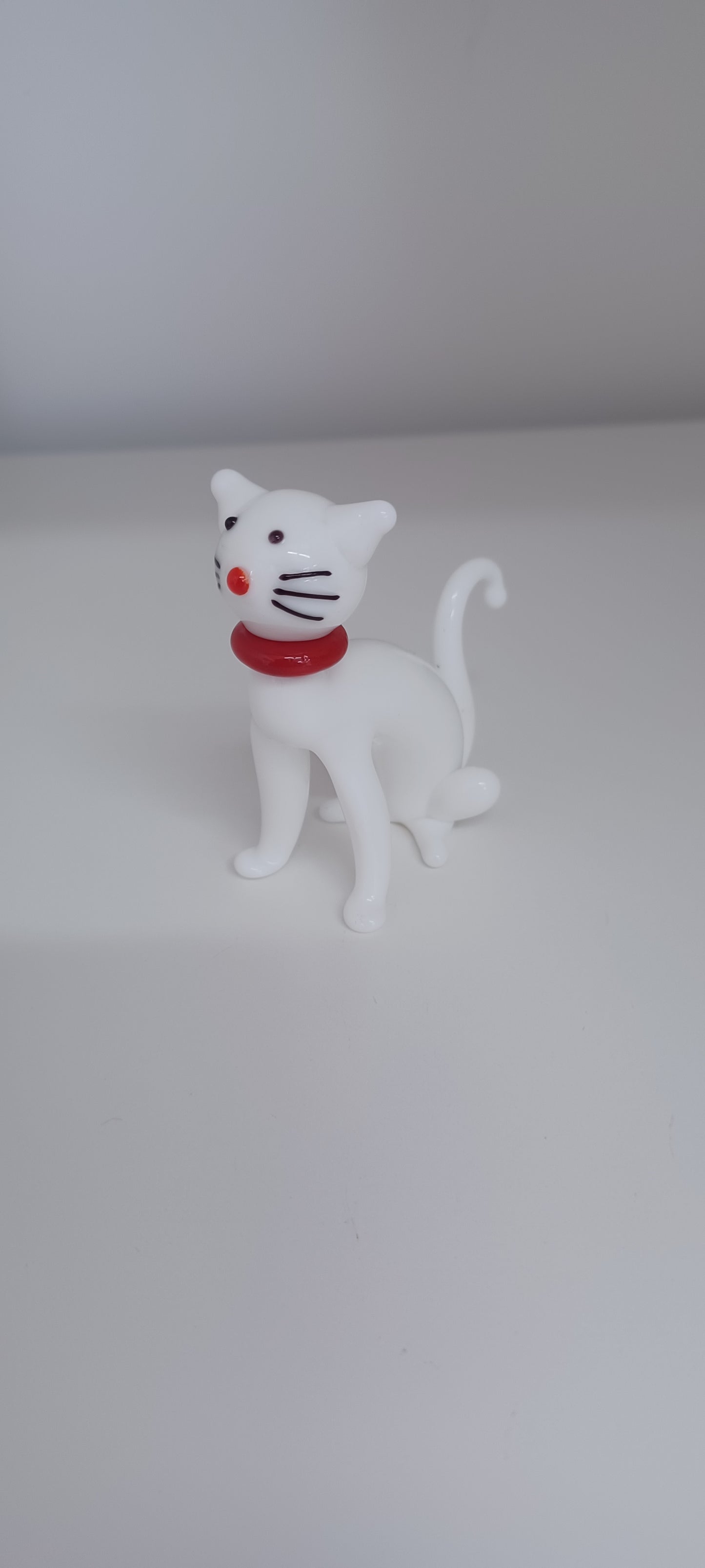 Glass Cat