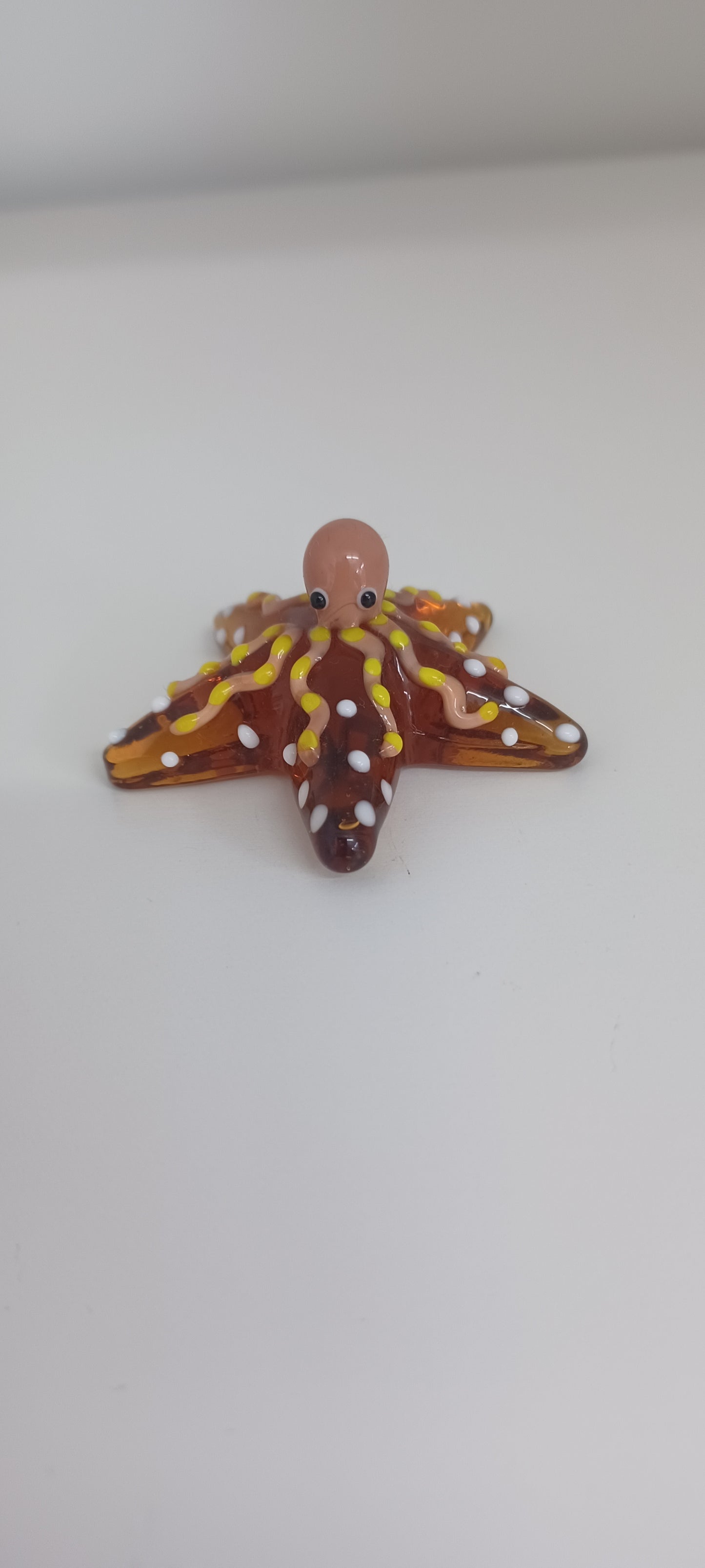Glass Octopus