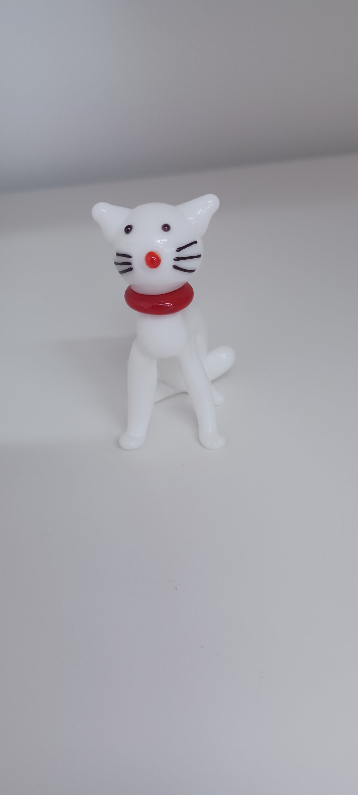 Glass Cat