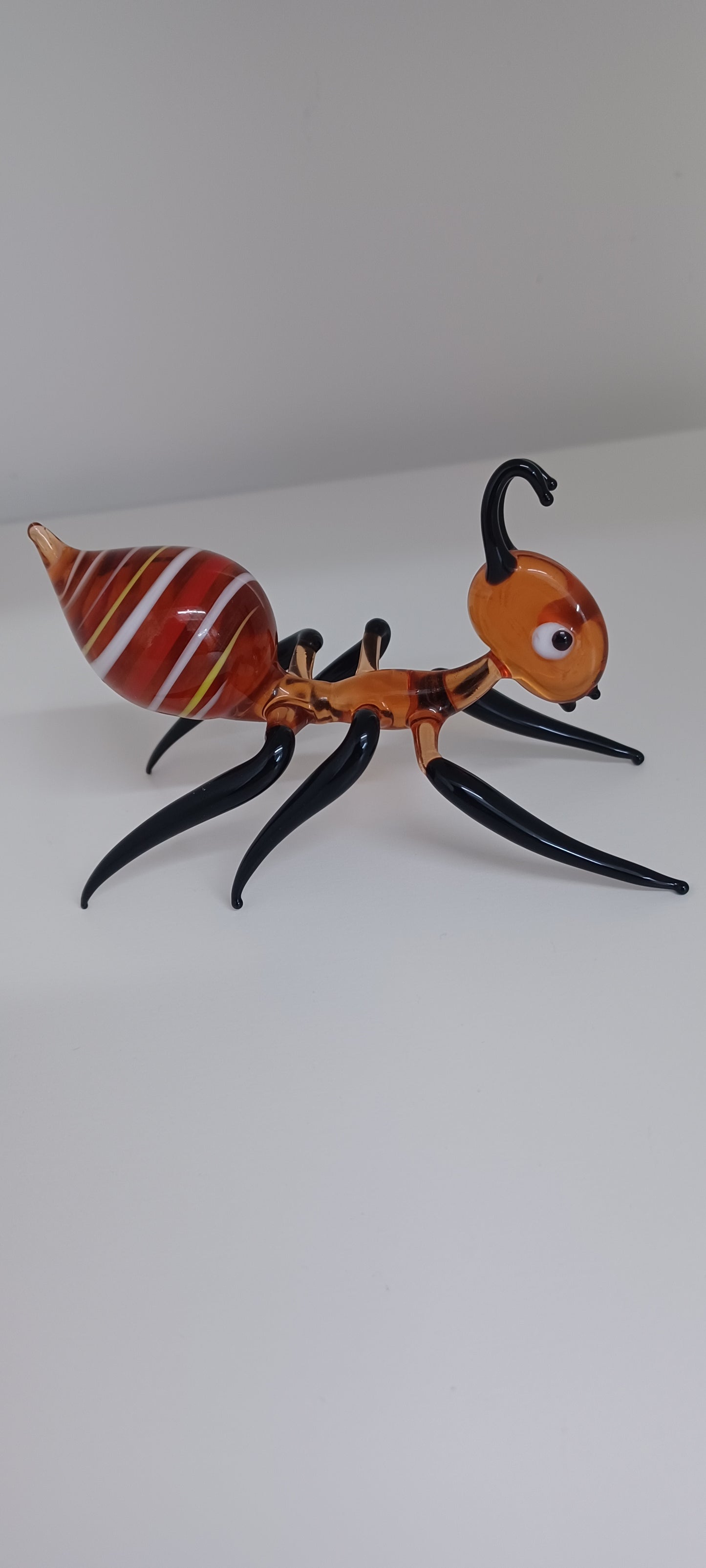 Glass Ant