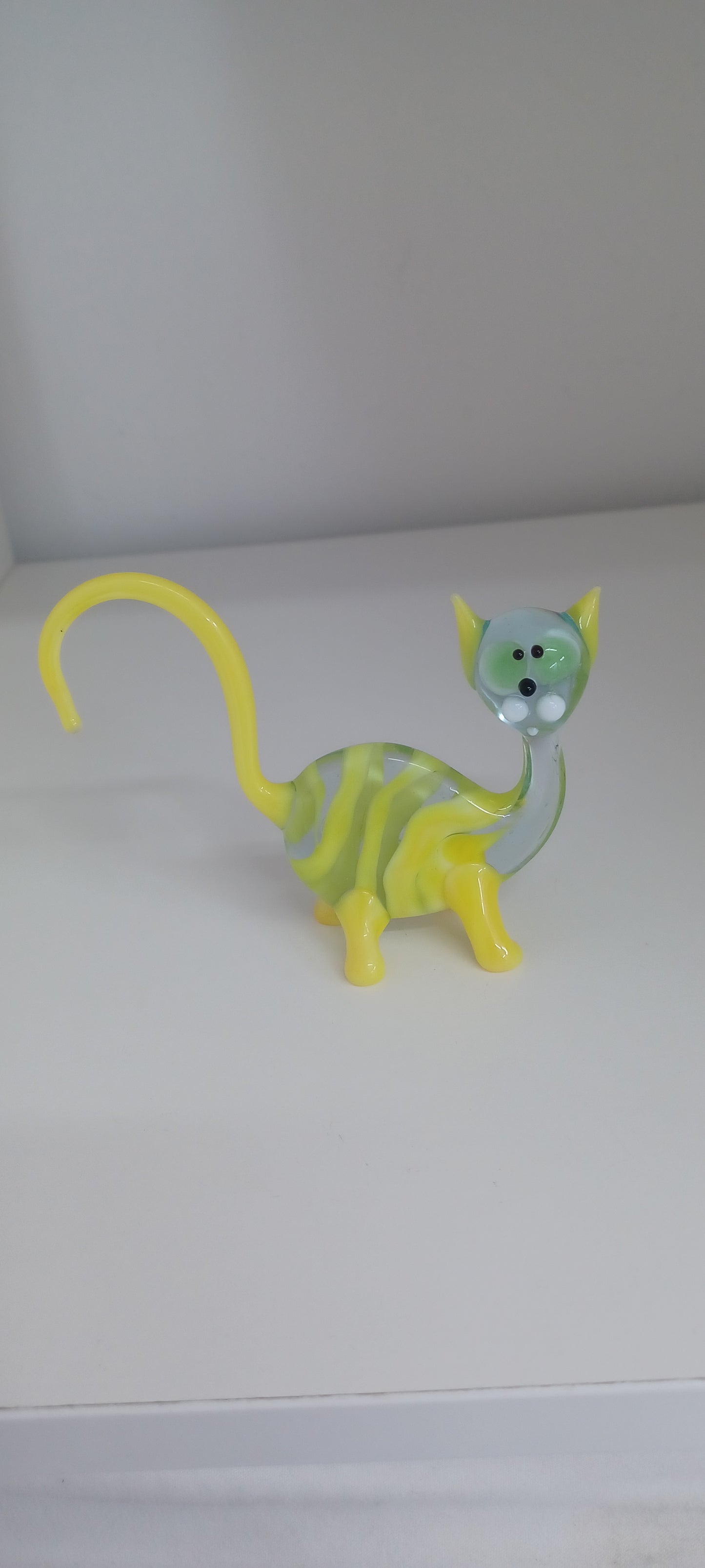 Glass Cat