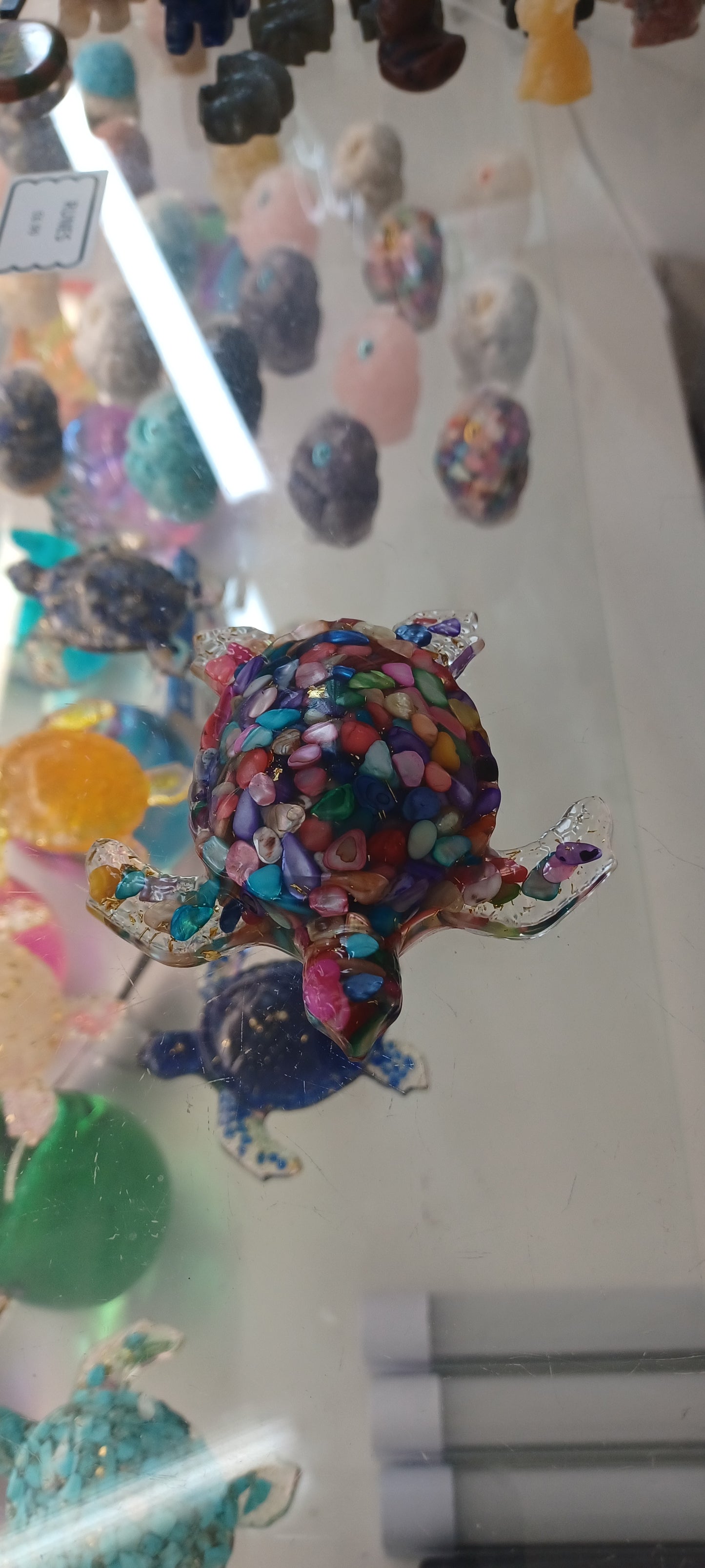 Turtle