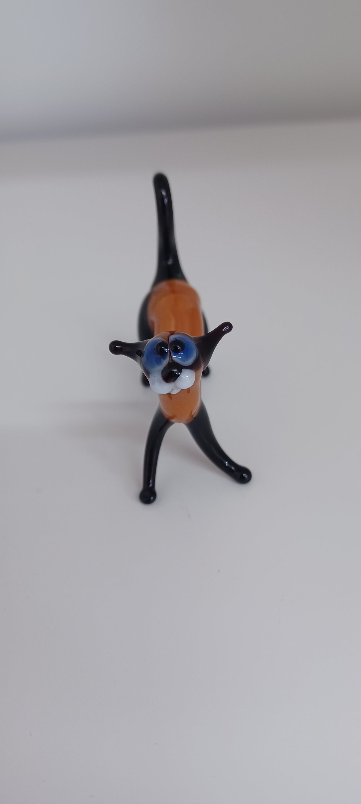 Glass Cat