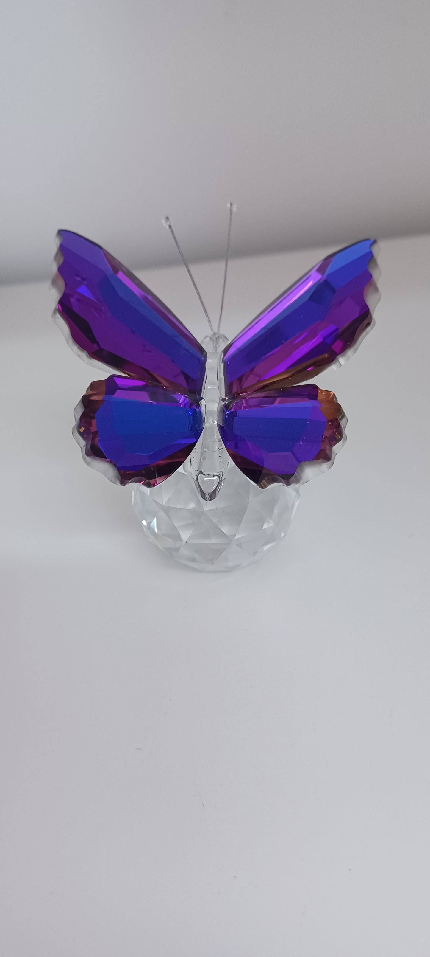Glass Butterfly