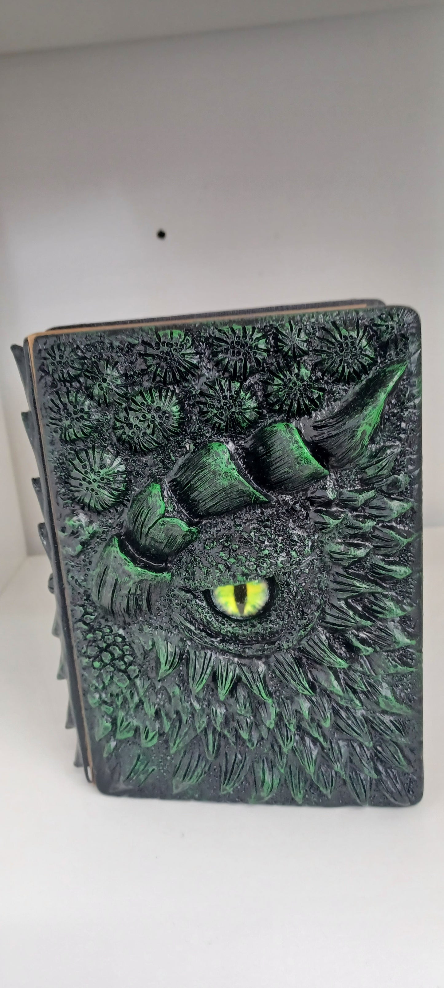 Dragon Eye Diary