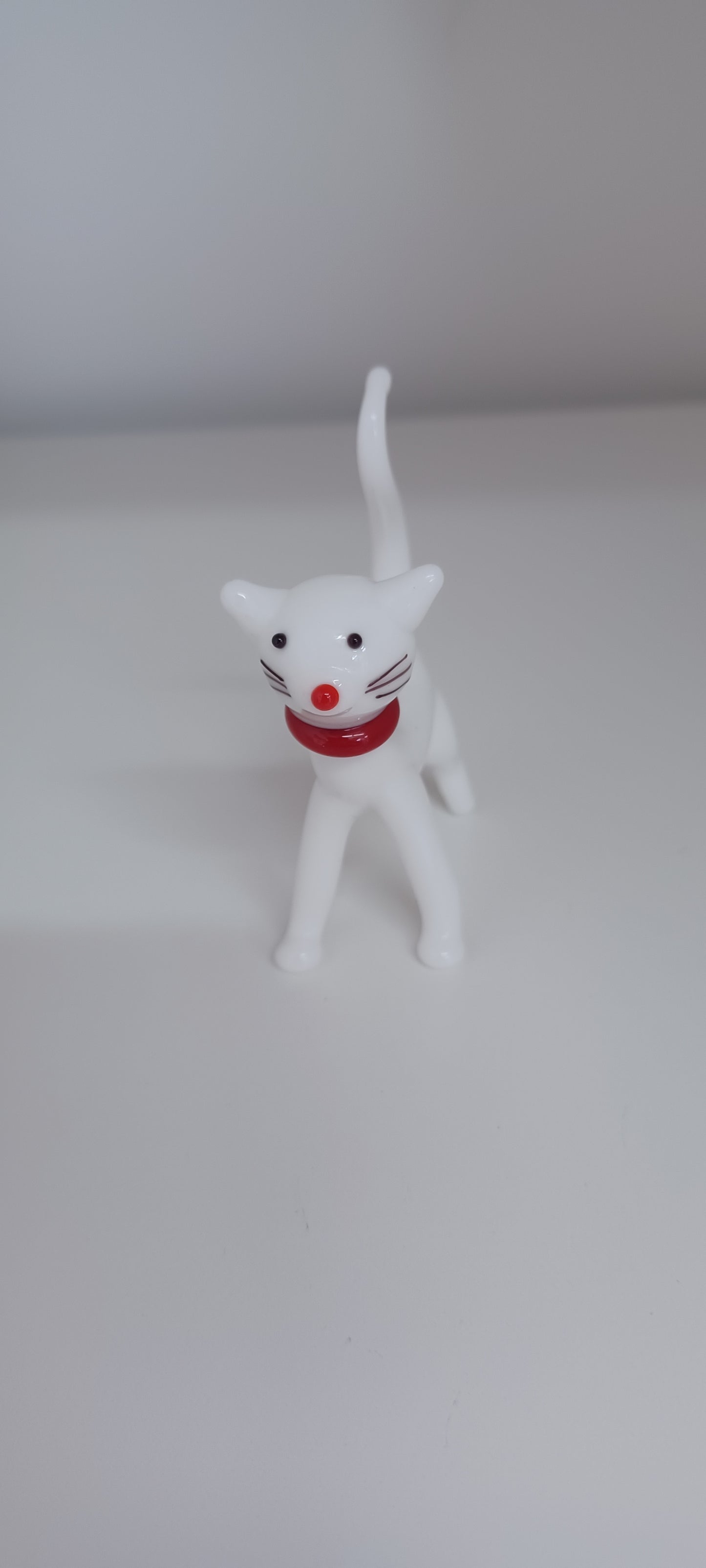Glass Cat