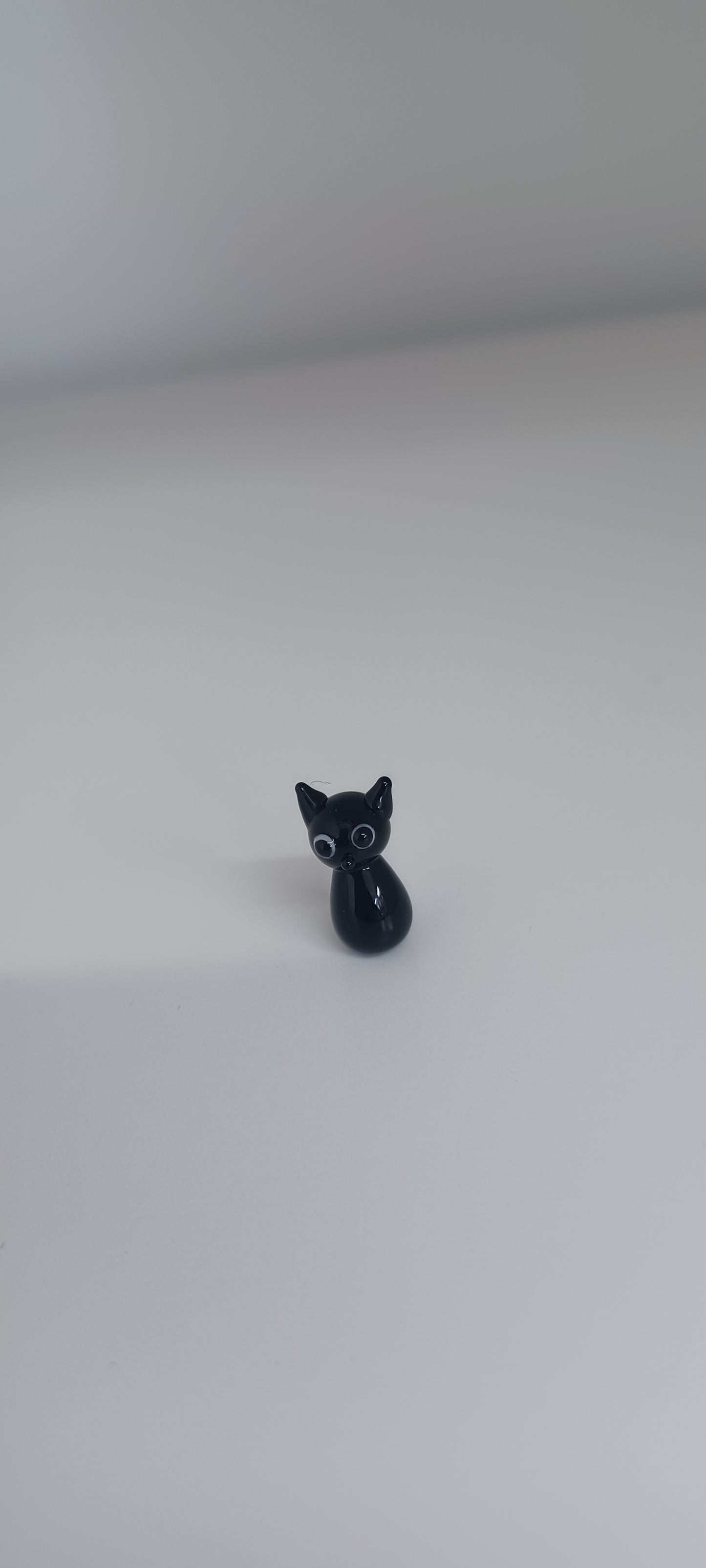 Glass Cat